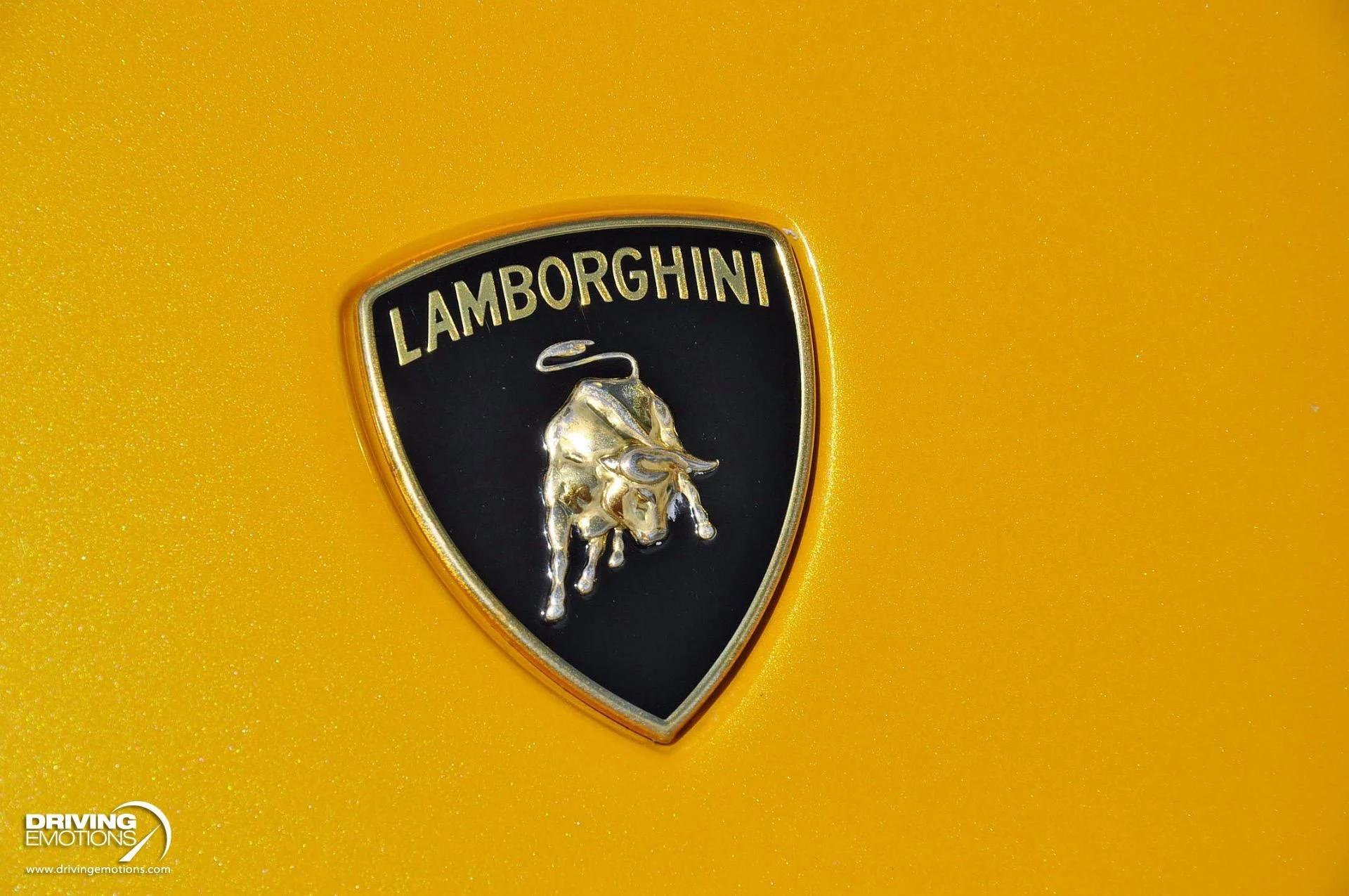 mph090_3130473478_862_p91_l_58bb21fb17