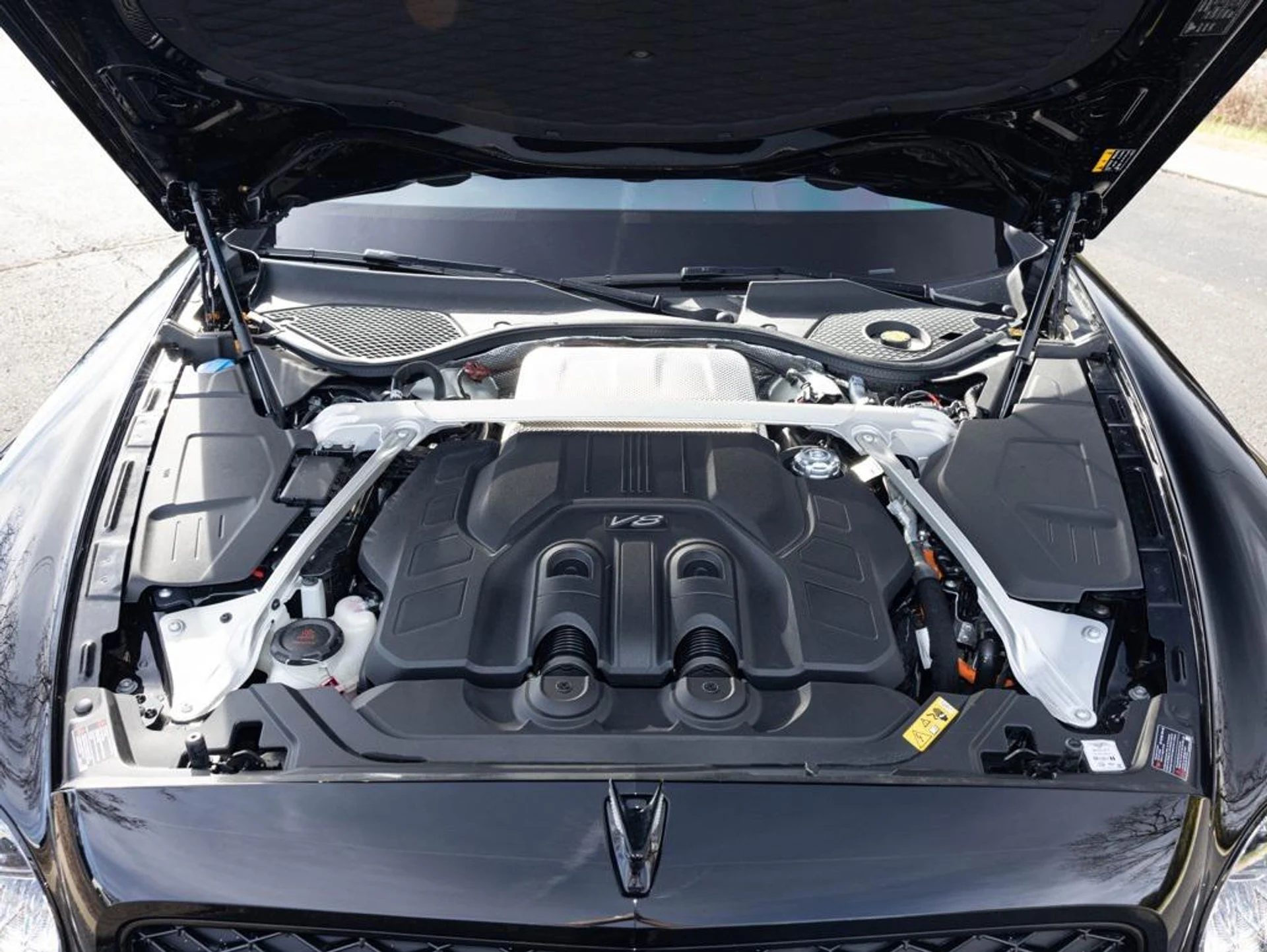 mph090_3517869027_476605579_692b329dd4777c6cf2abe8b8_c4e65893e0