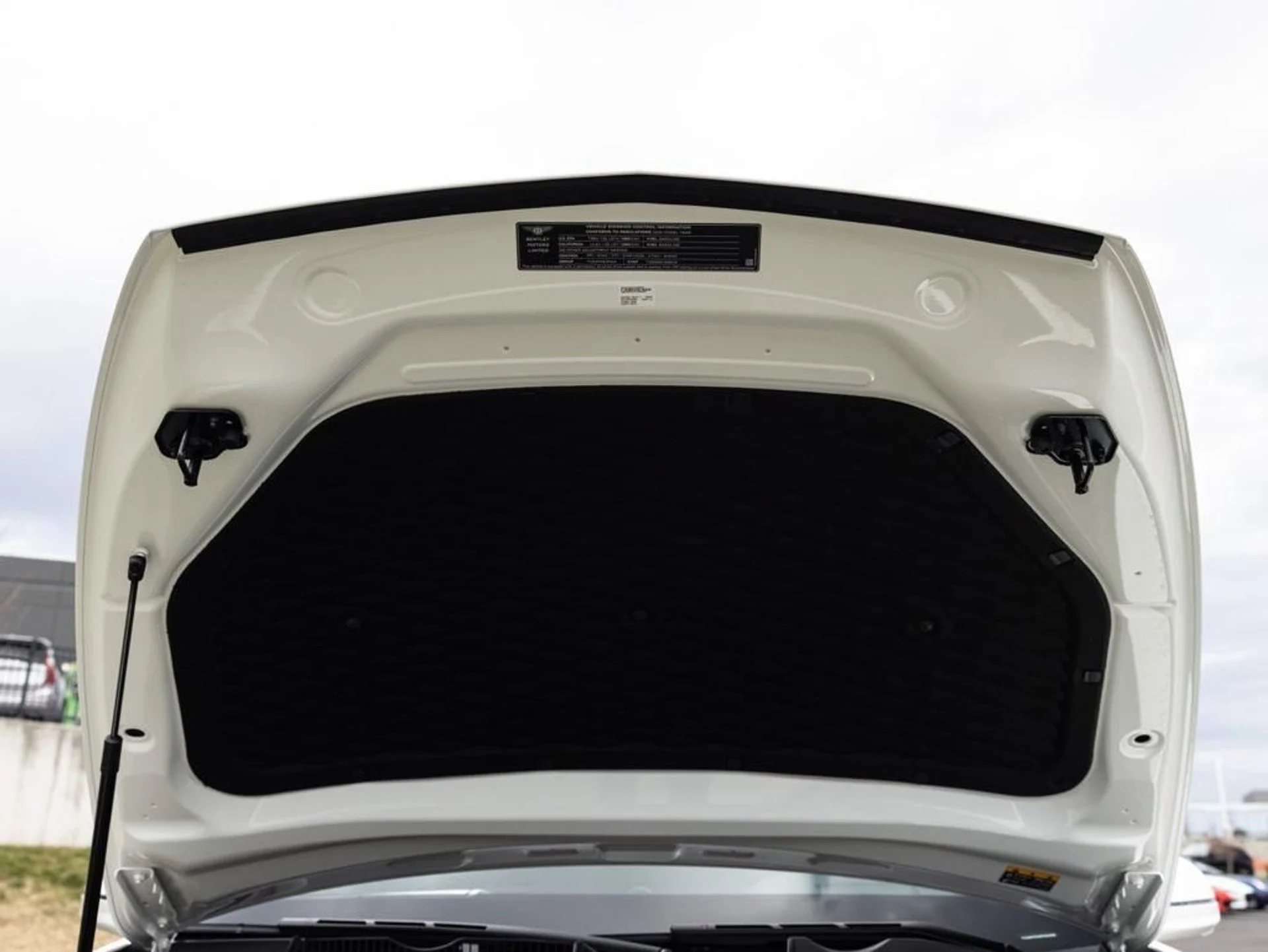 mph091_1636475449_480417655_69442346815a036f0aabfc5e_ff5c949615