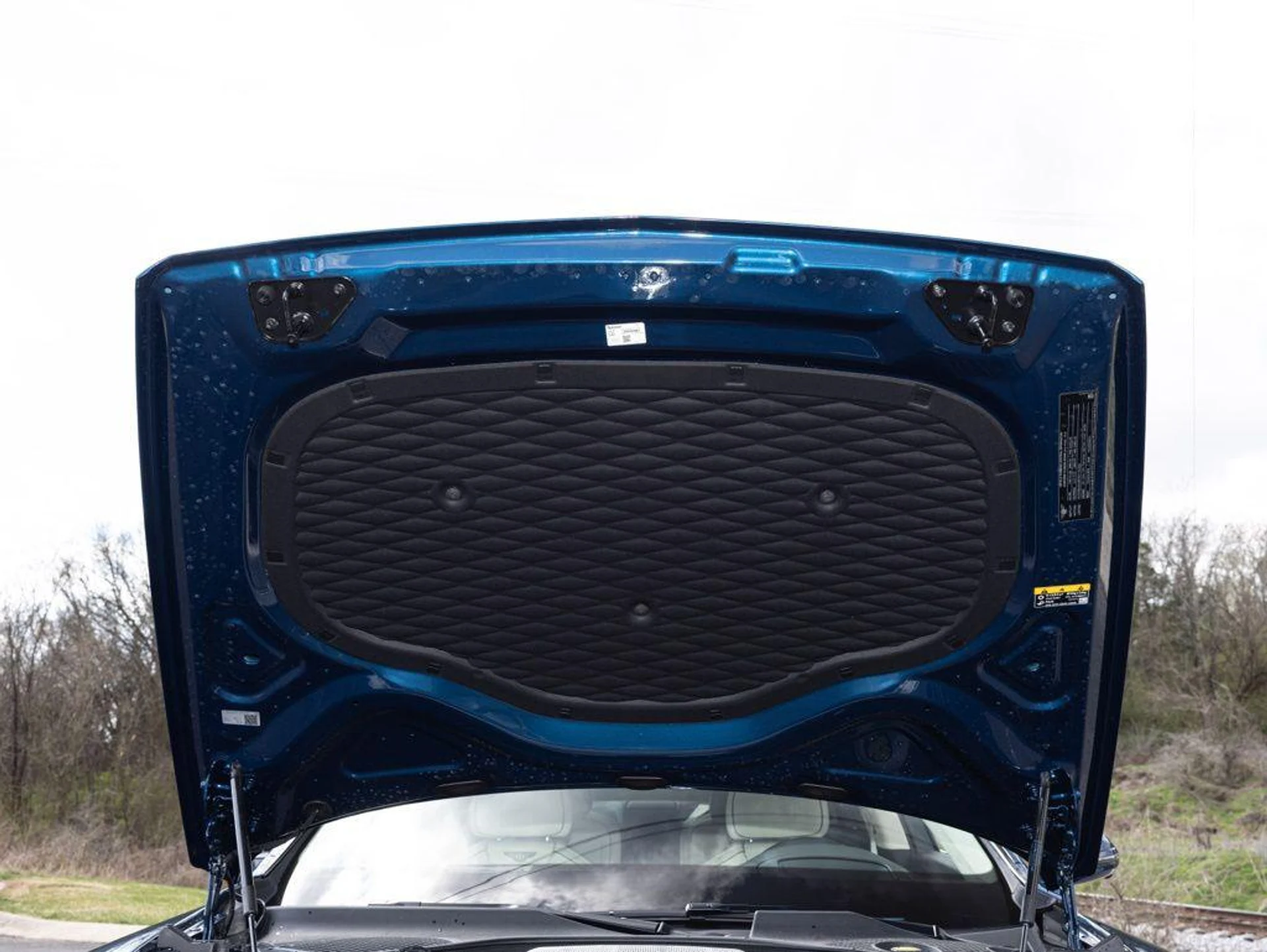 mph091_2525785434_500853698_69ac49ff42328134f501d03d_d527c4c69e