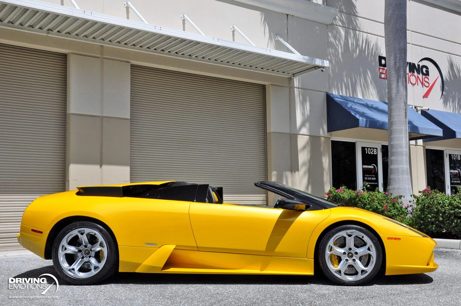 mph091_862263980_862_p92_l_a8c25f5ea3