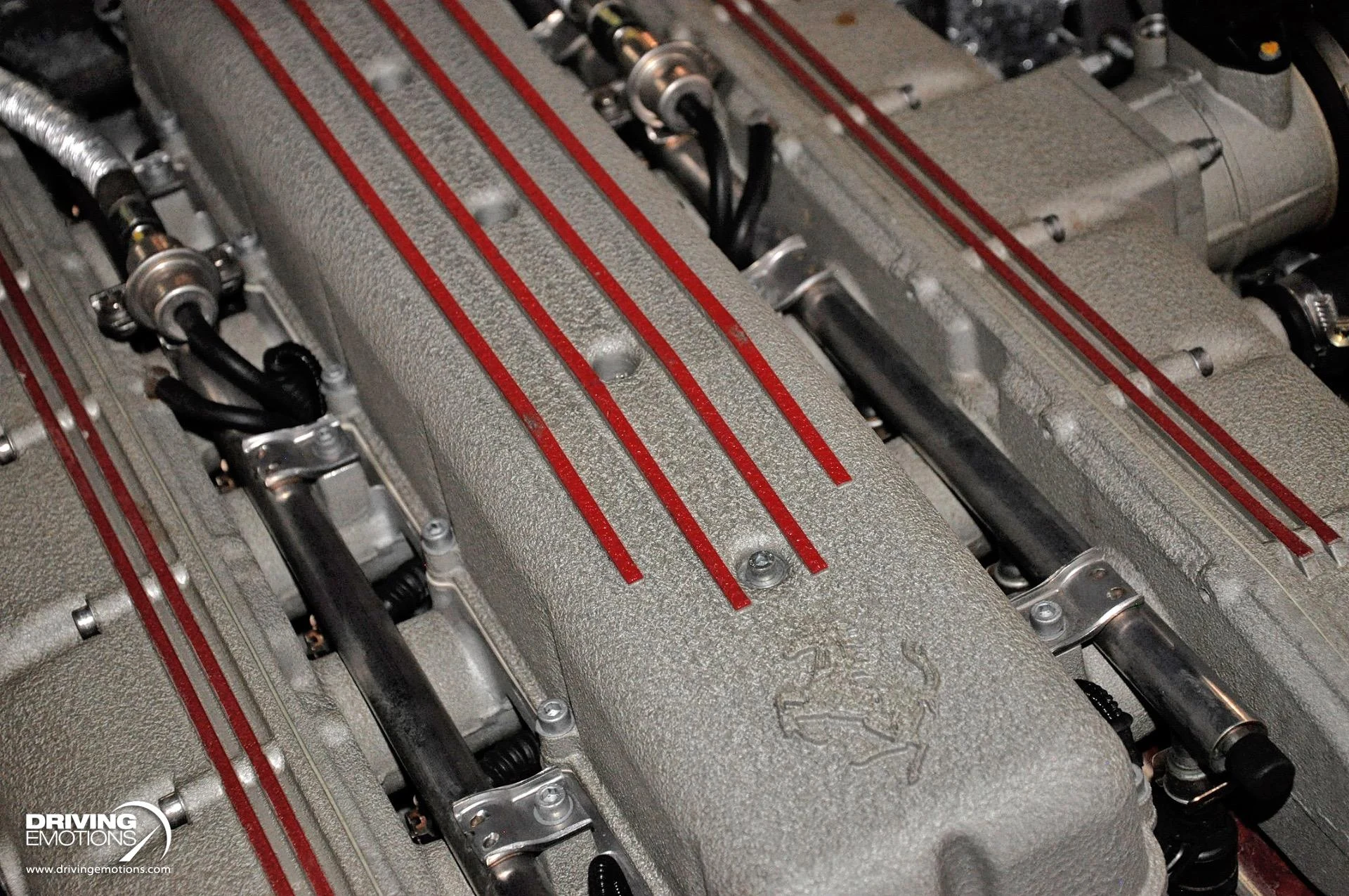 mph092_3507903962_437_p93_l_b8c6c1857a