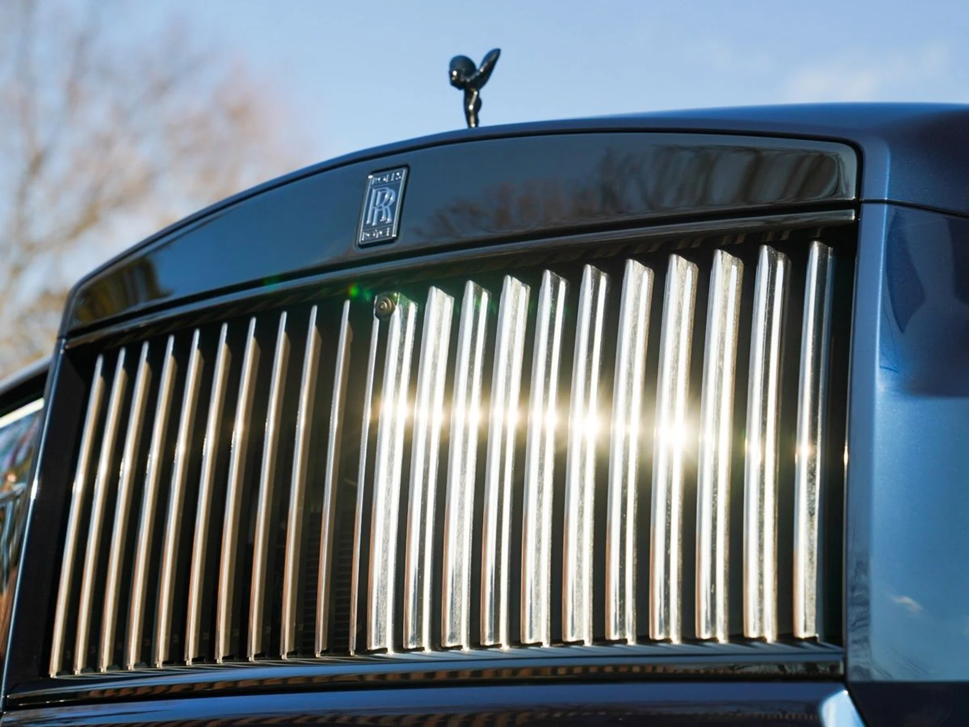 mph092_587002548_gpqptw48l57mlu7lm8jn782dortv_8b3891c64c