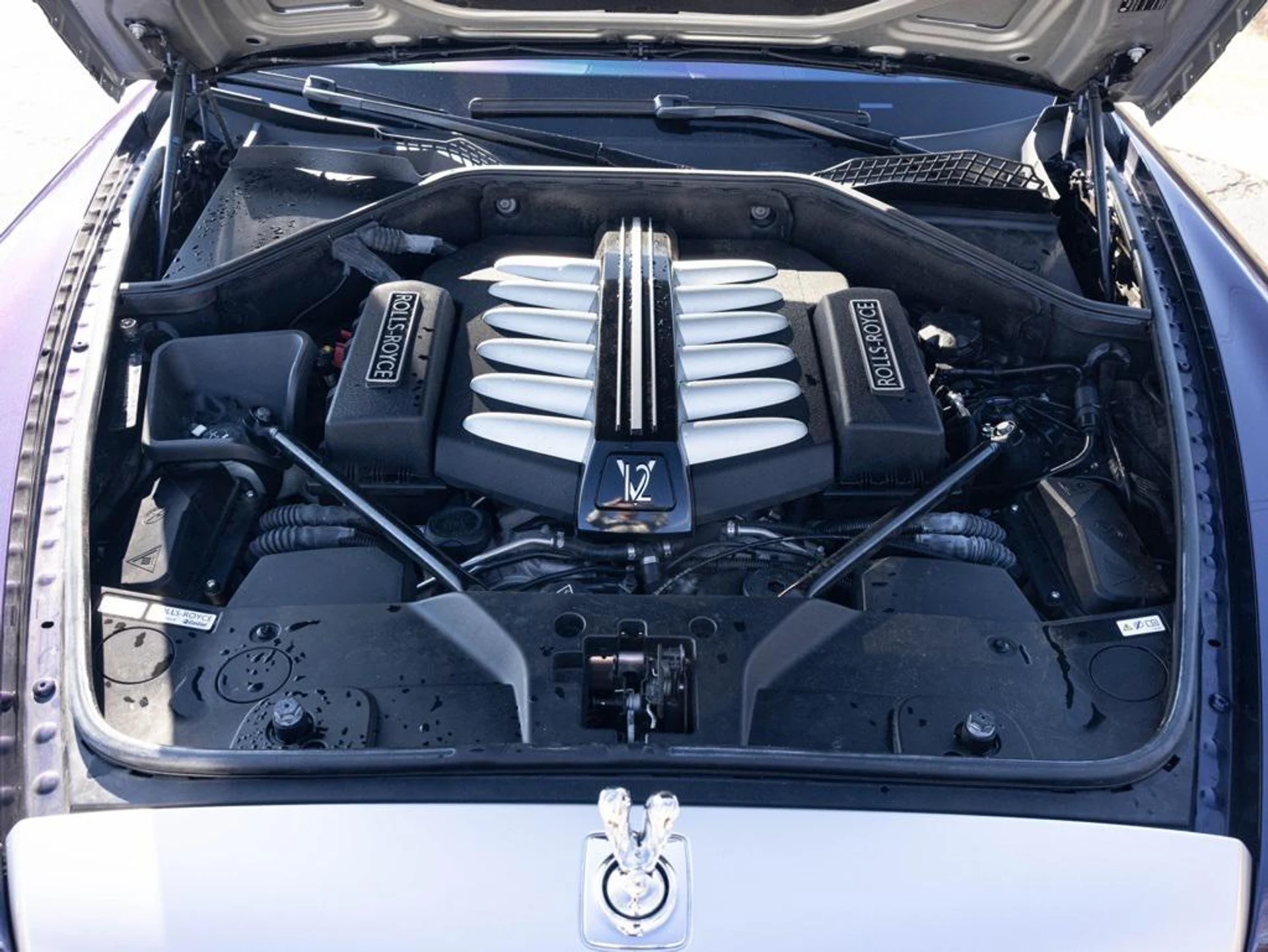 mph092_989032898_481787351_694423304f23a11bfcaf5585_de1e29f68b