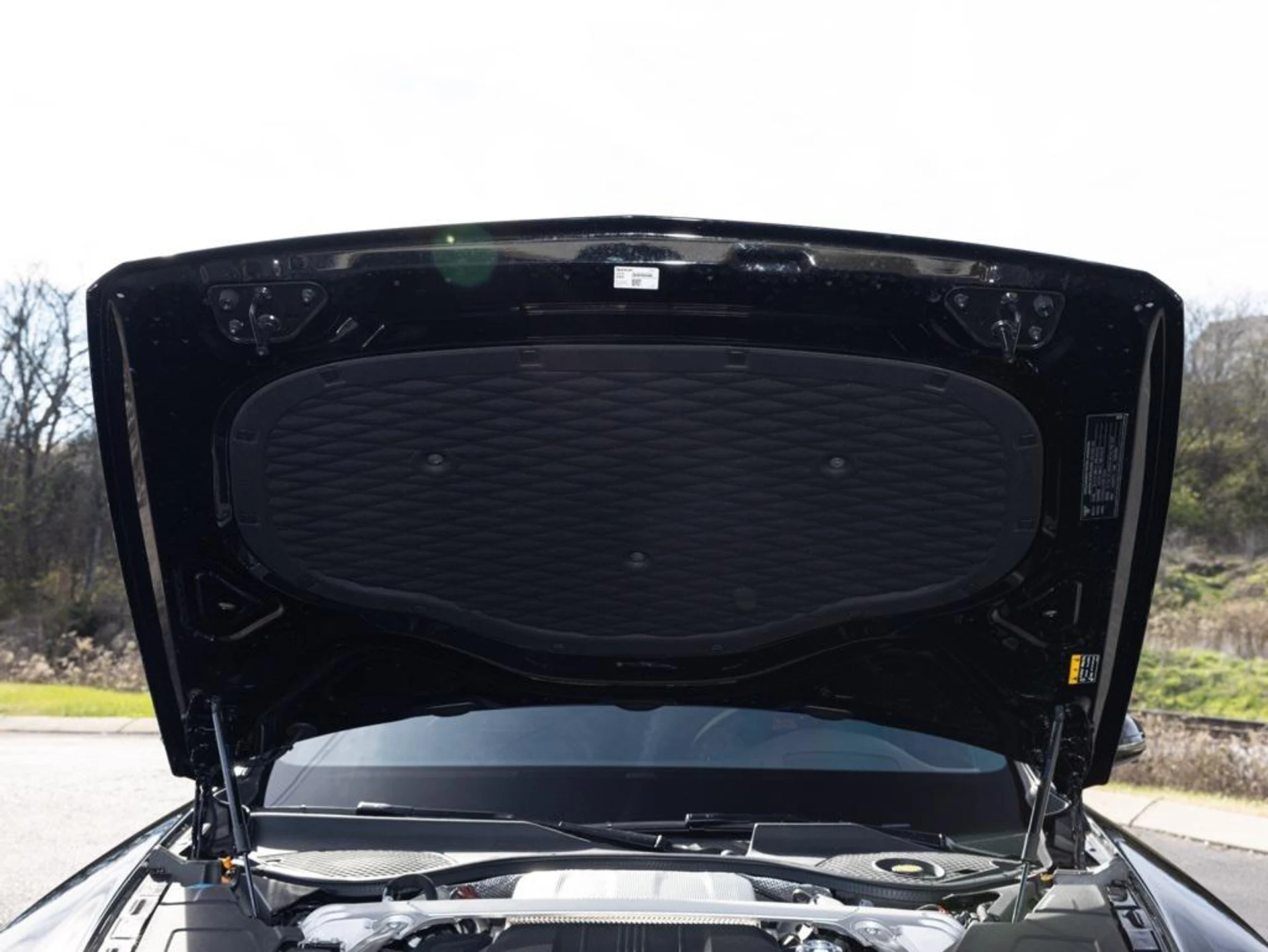 mph093_3456167810_476605579_692b329fd4777c6cf2abe8bb_2cde94d92d