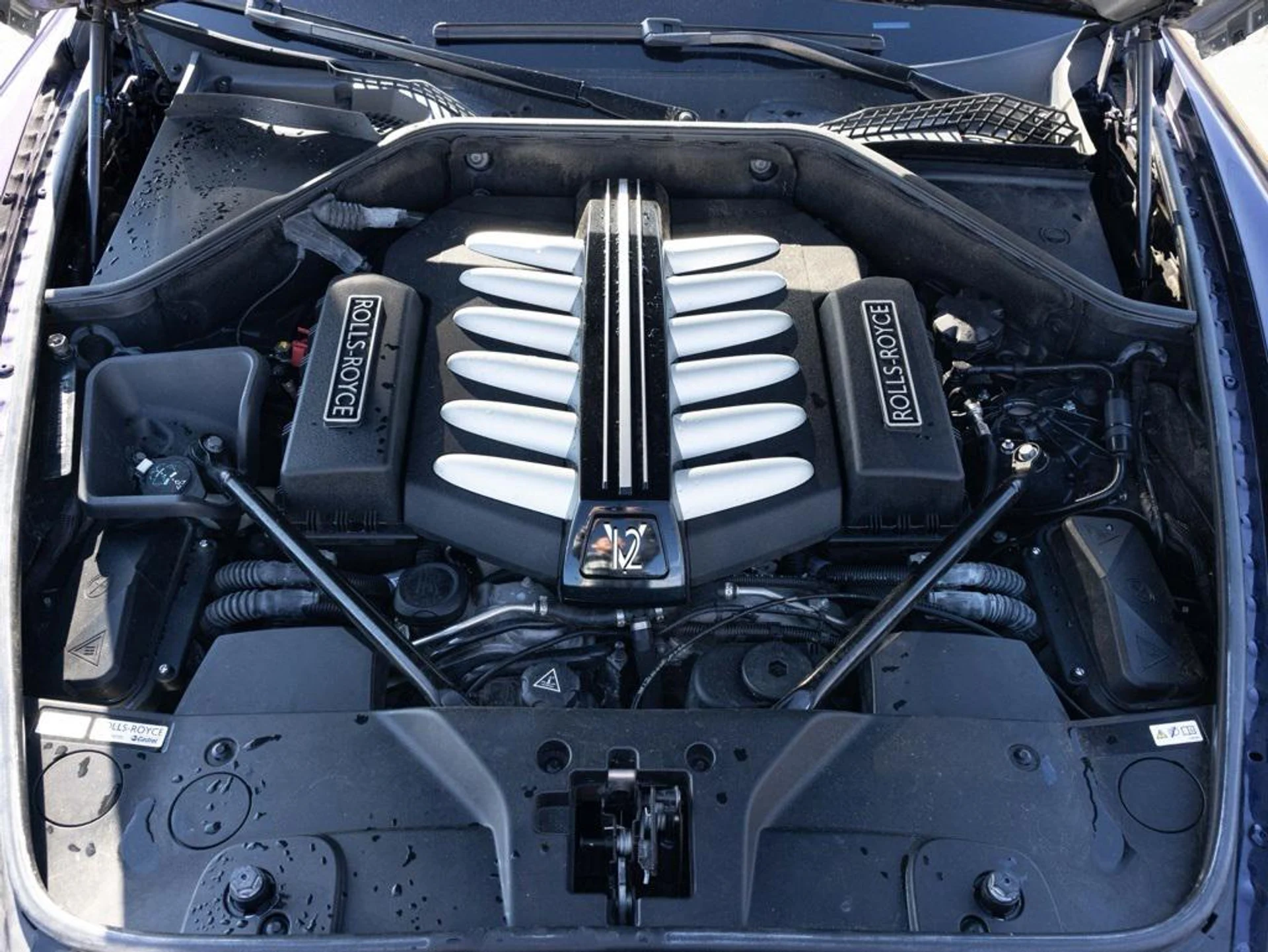 mph093_3828188495_481787351_694423304f23a11bfcaf5586_da1bfd4d76