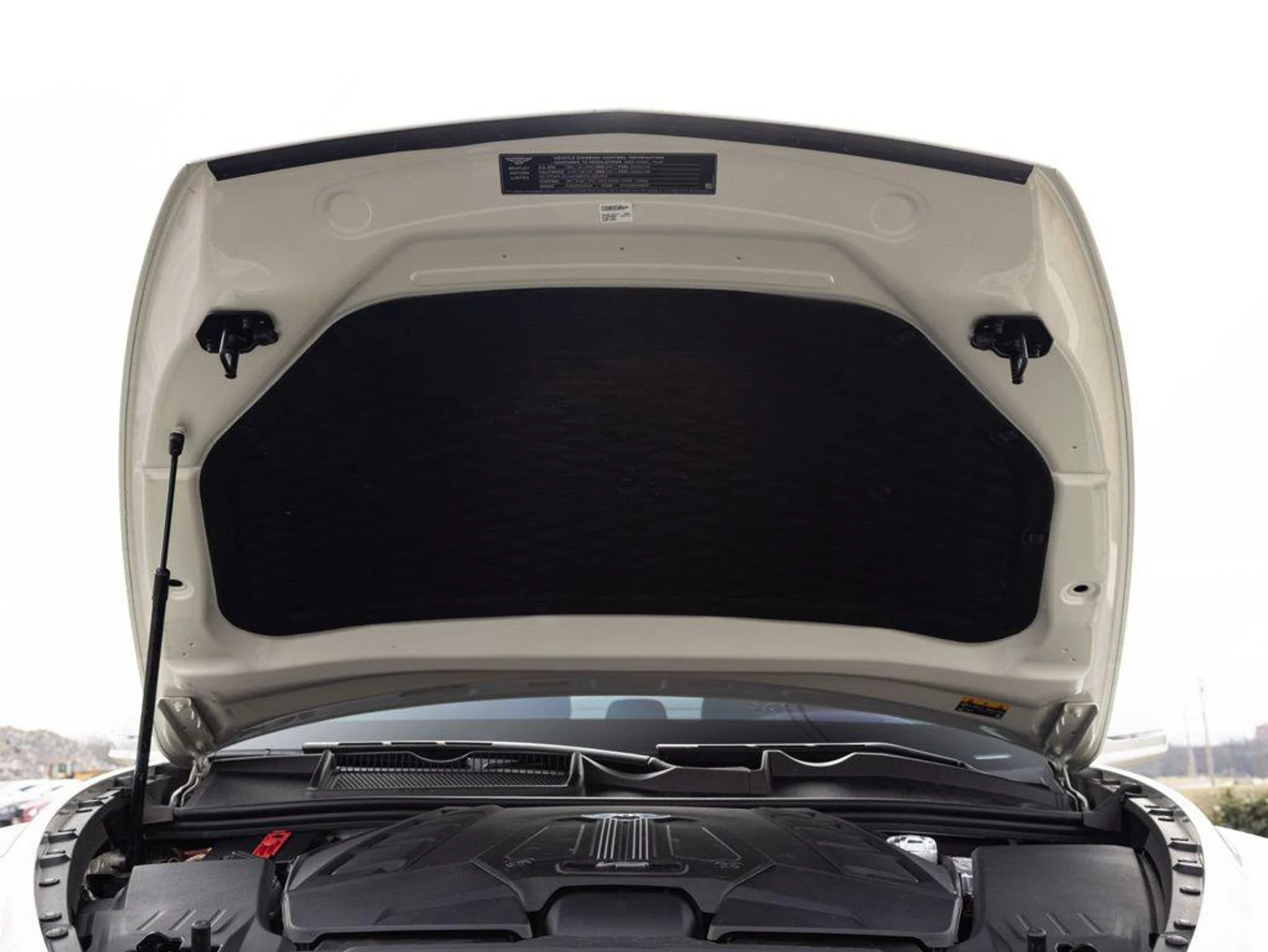 mph094_1722558767_492619448_6986045a180868074e36c6e4_fc013b3a9f