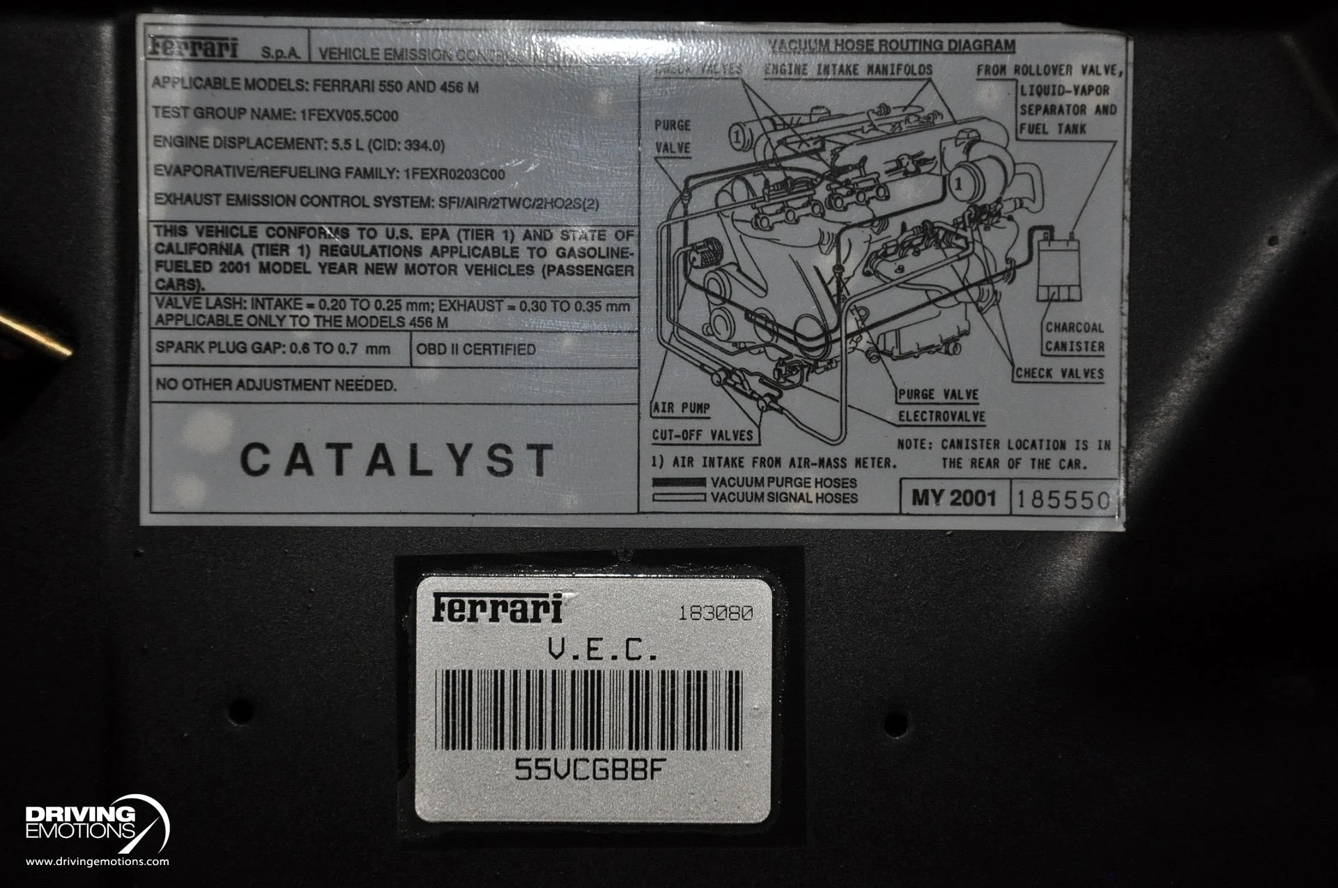 mph094_1843485524_437_p95_l_bb5a5071bc