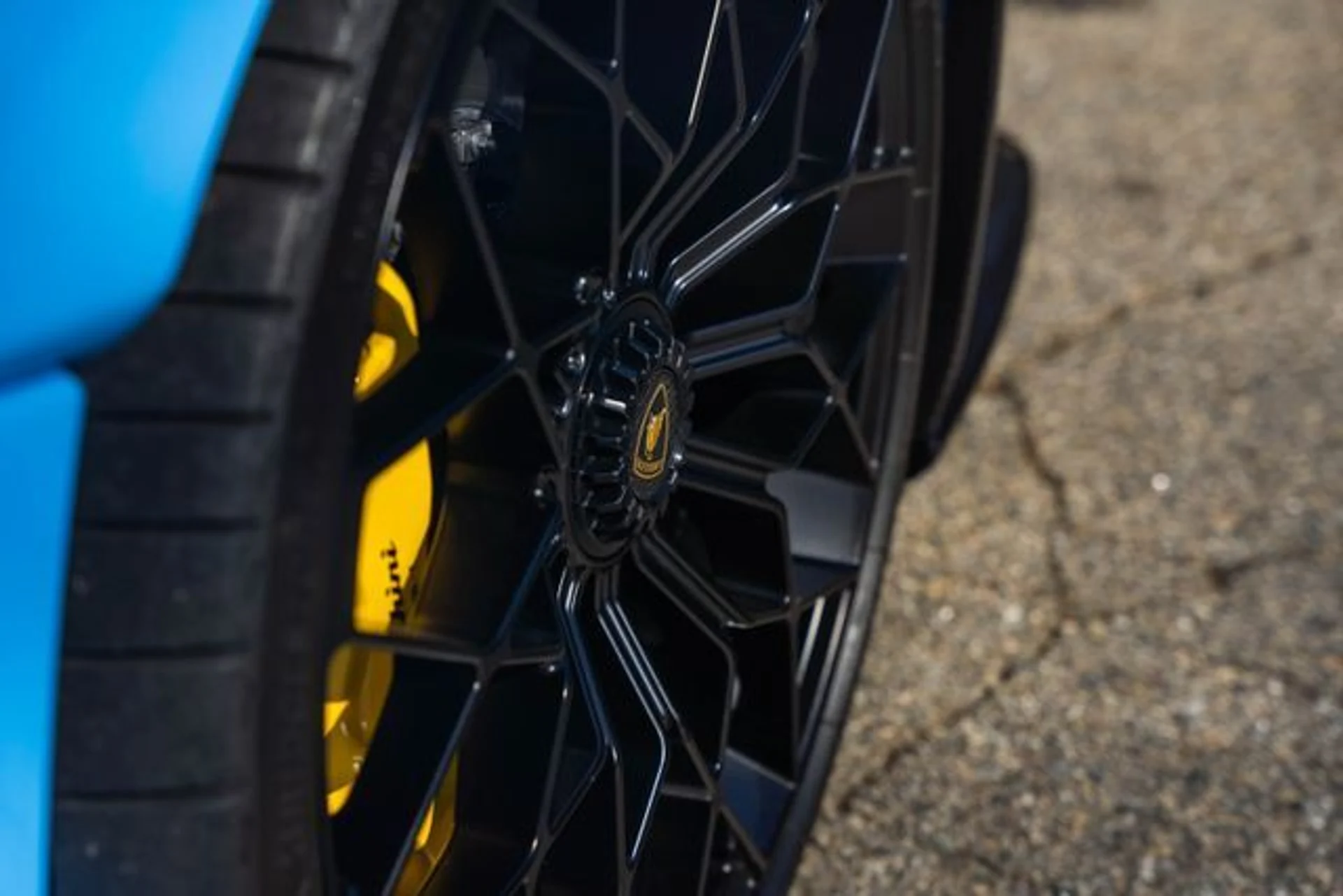 mph094_2909927012_d64178f3c3db4c3f7b64f8e4412d56ed_355ffaae28