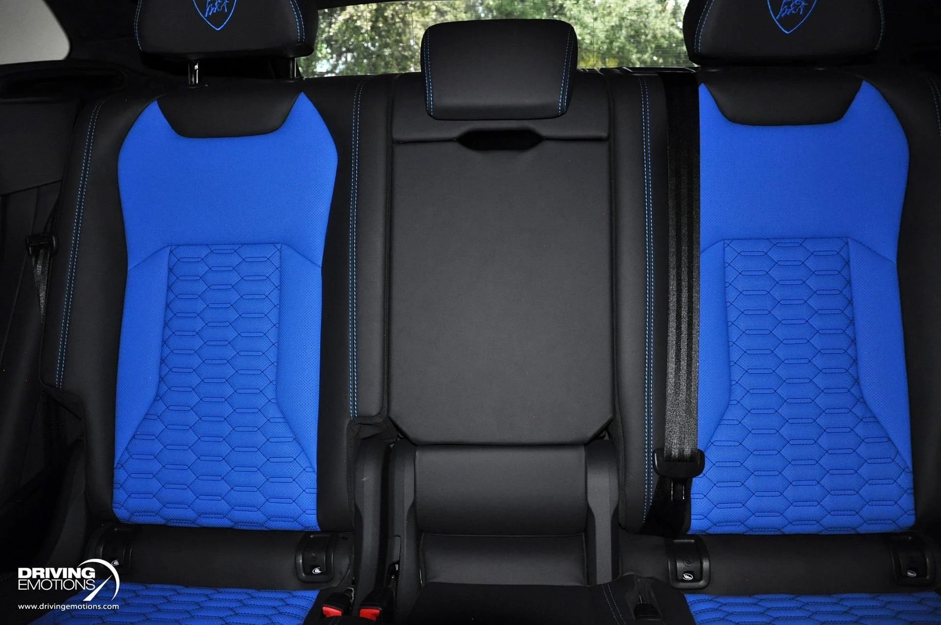 mph094_3155546151_801_p95_l_f9ae945fbc