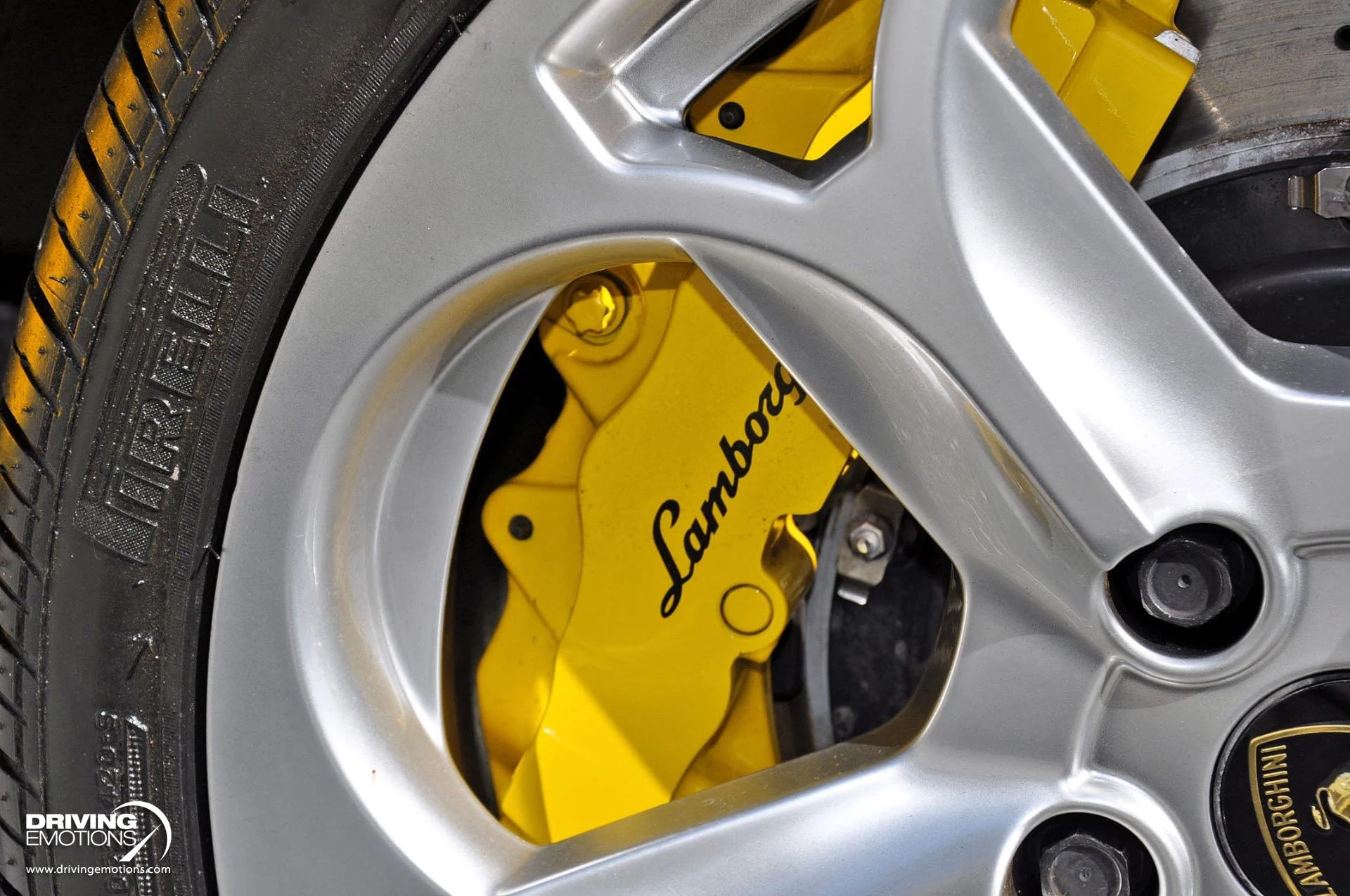 mph094_3262564604_862_p95_l_8bba166eec