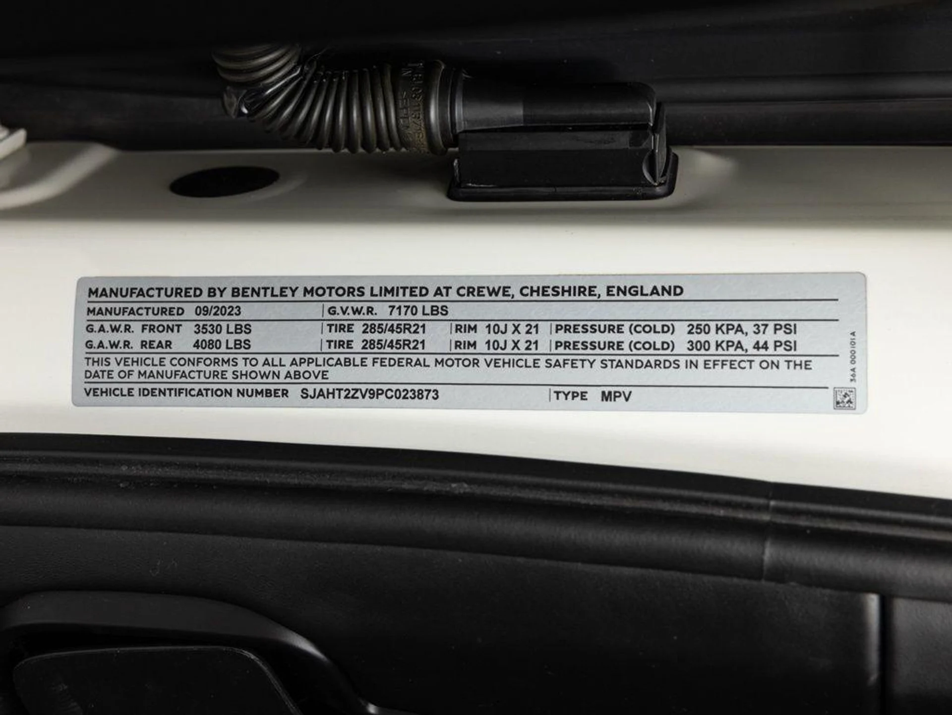 mph095_1011840444_492619448_6986045a180868074e36c6e5_399fca3689