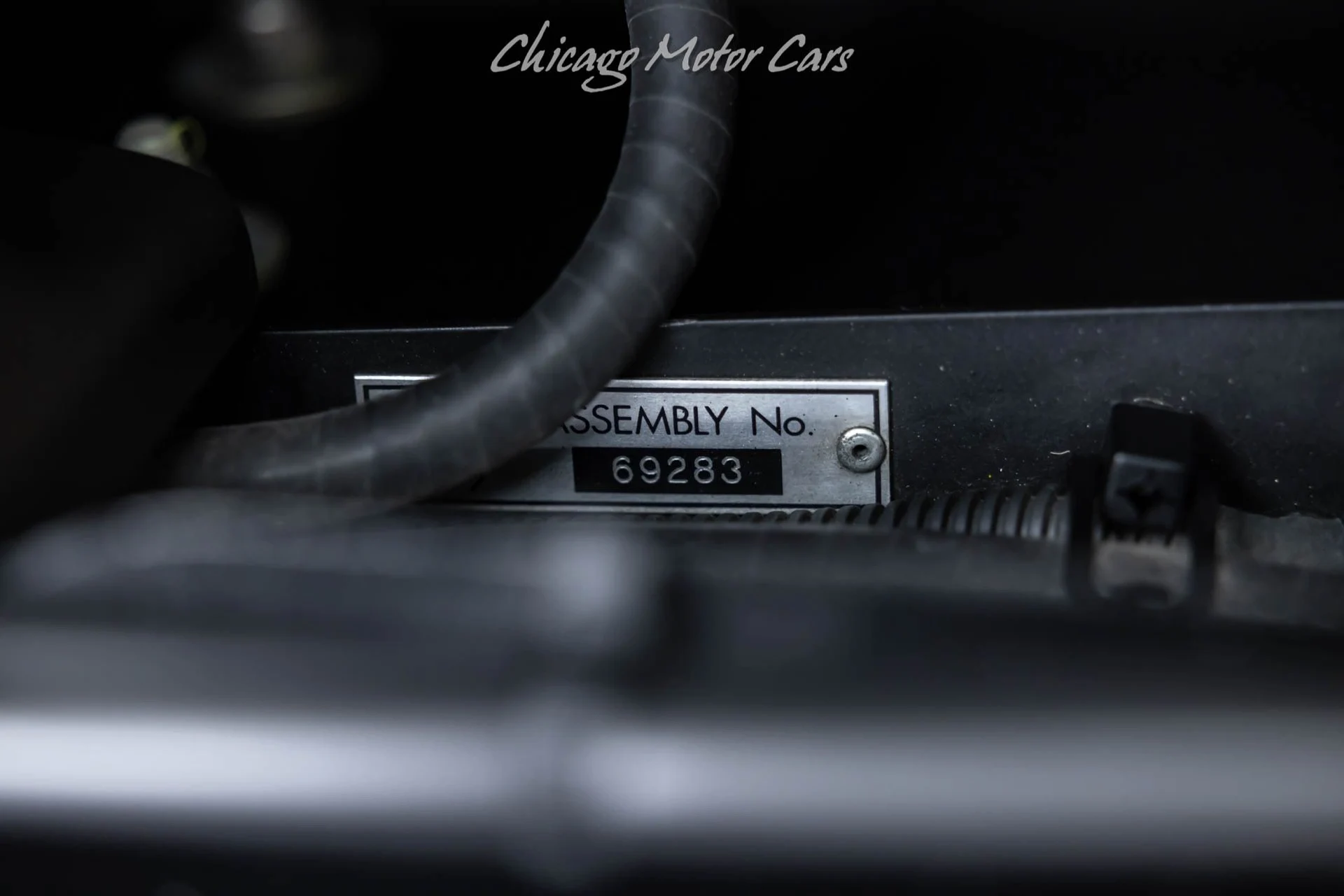 mph095_1651908991_13405_p96_l_92ad8c9683