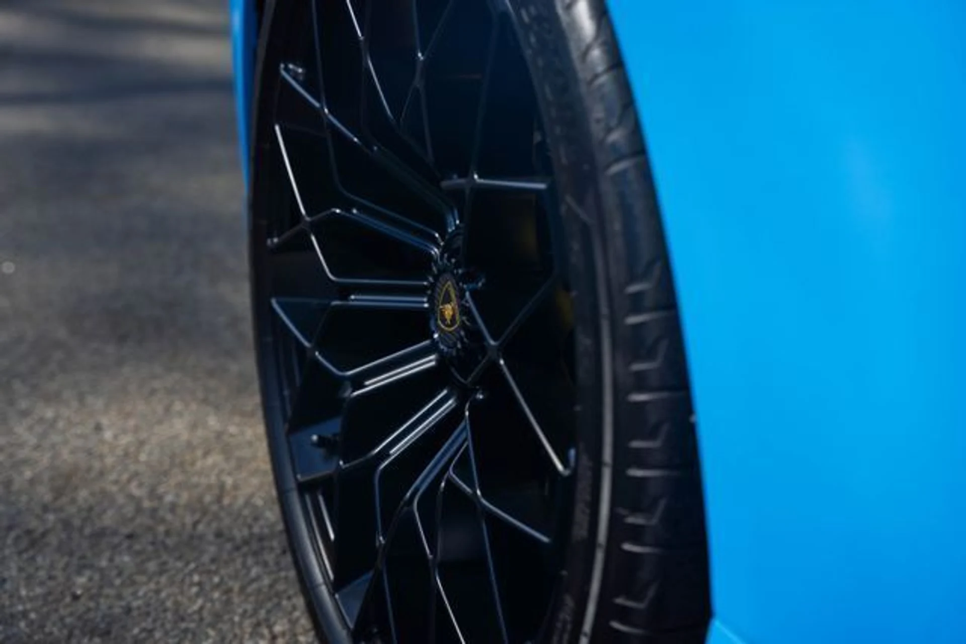 mph095_2734612185_4fce120fcf6ba101e1993e7d6ece319f_9184907996