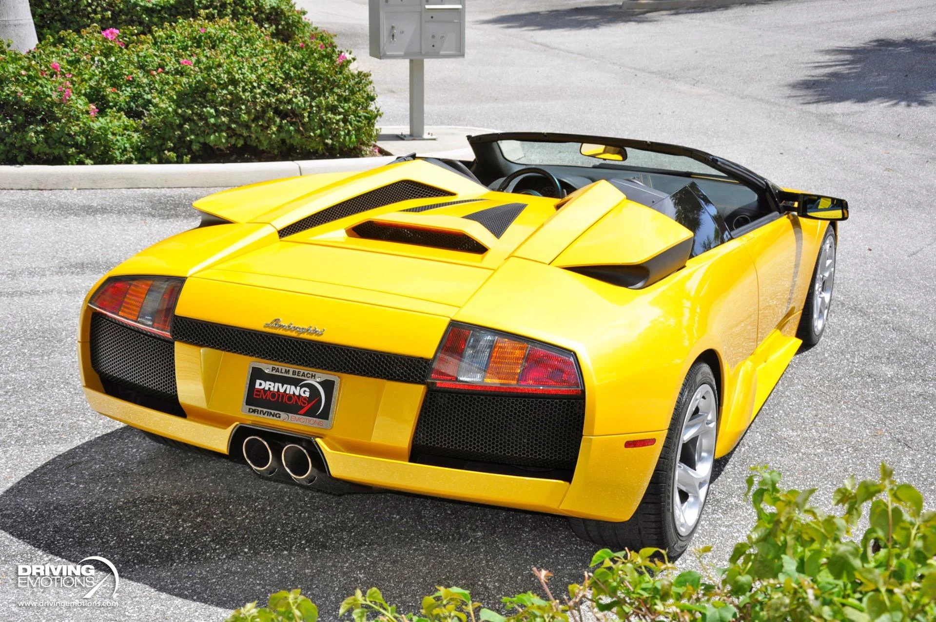 mph095_728219674_862_p96_l_278e8b846f