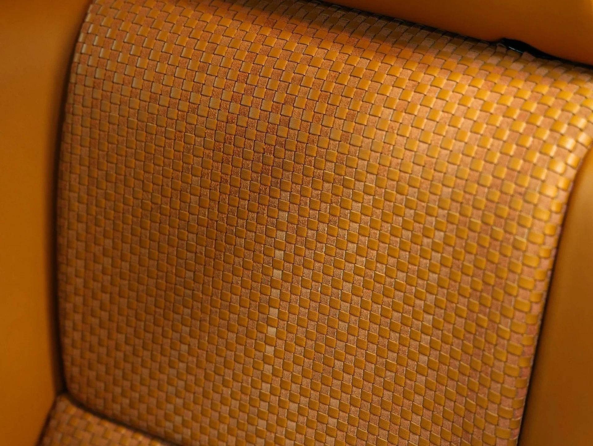 mph096_1695990129_97_ff97e8d774