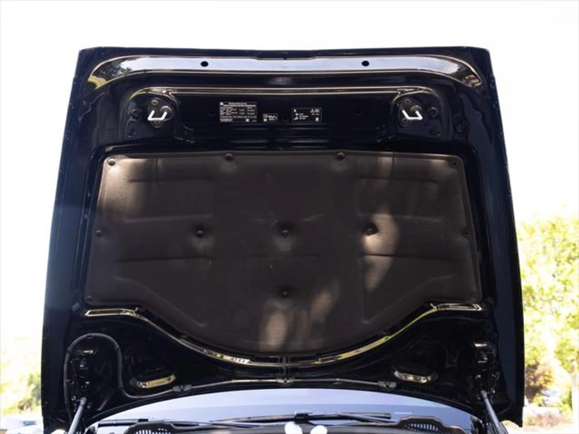 mph096_3814040869_342960235_6673c0357c1dc78c17071ba9_609c3e0f20