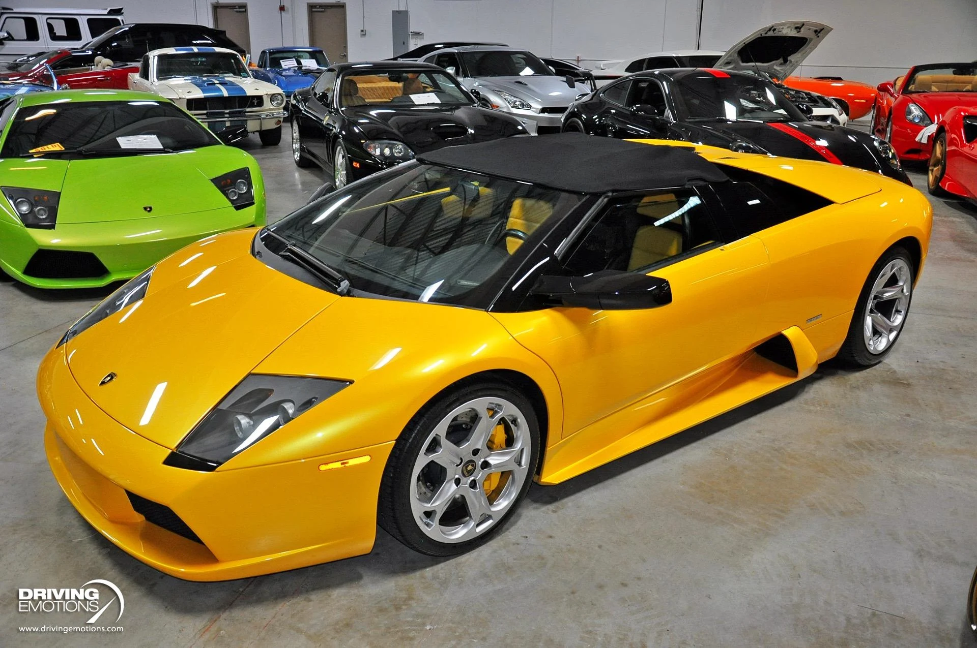 mph097_2849951006_862_p98_l_cac5dfe857