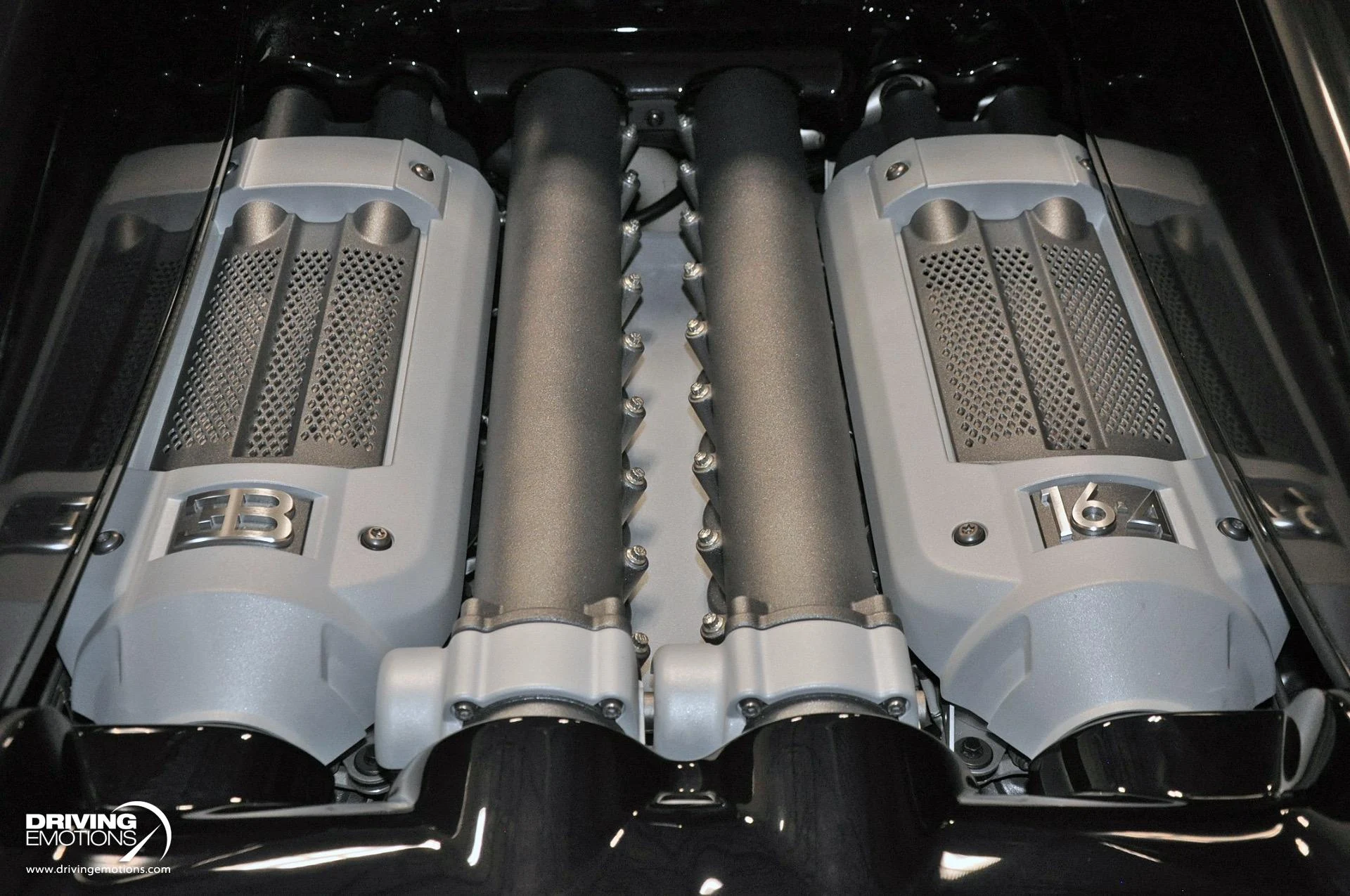 mph097_701211498_479_p98_l_c0e7134f93