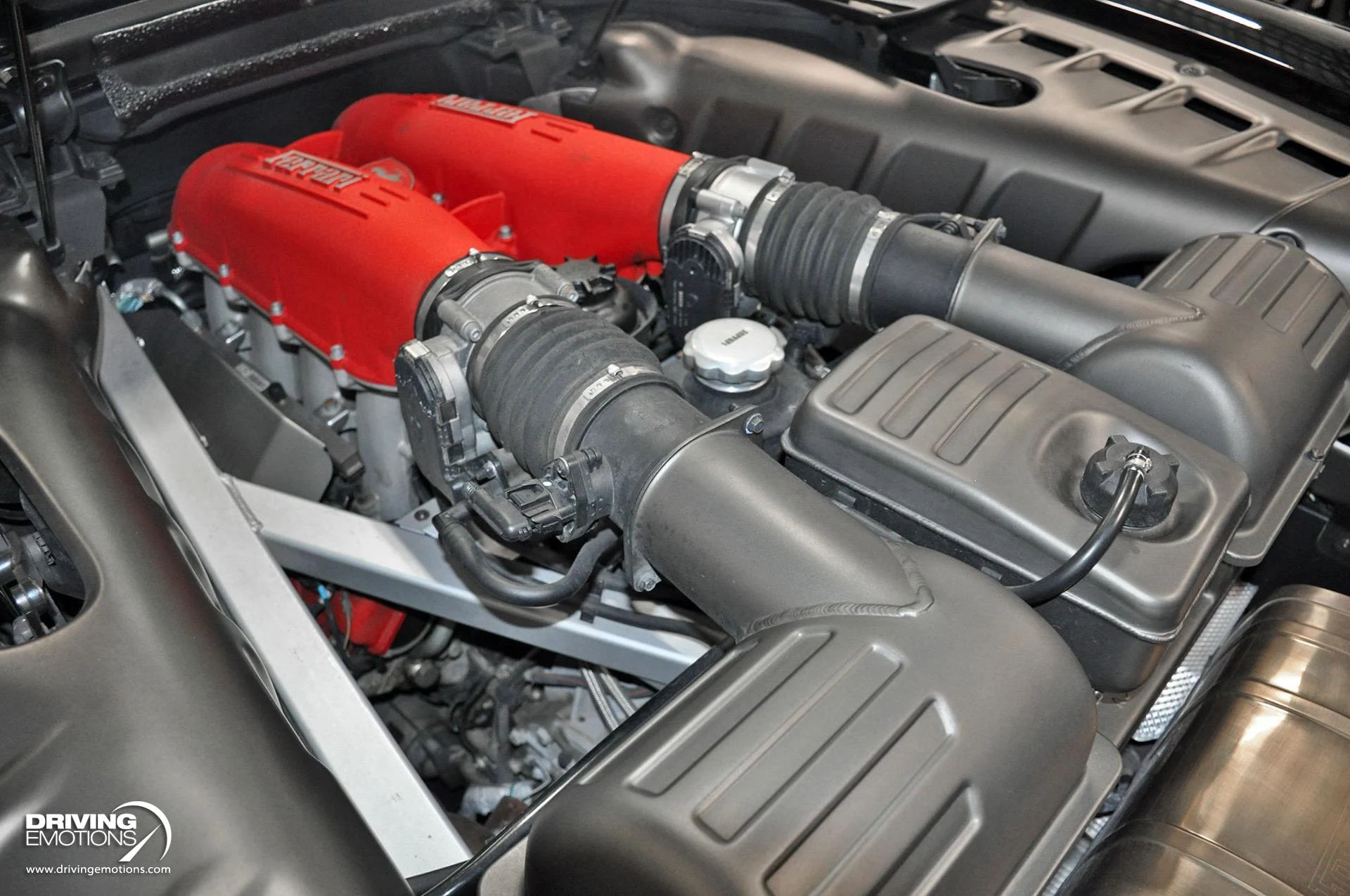 mph098_1762455475_885_p99_l_5adc90afc5