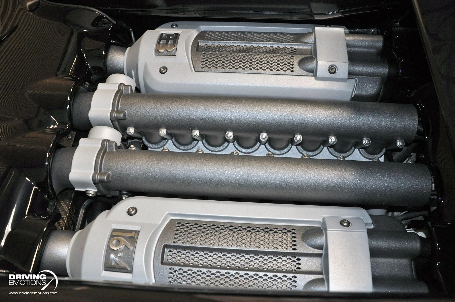 mph098_3703163510_479_p99_l_1fc2c3e579