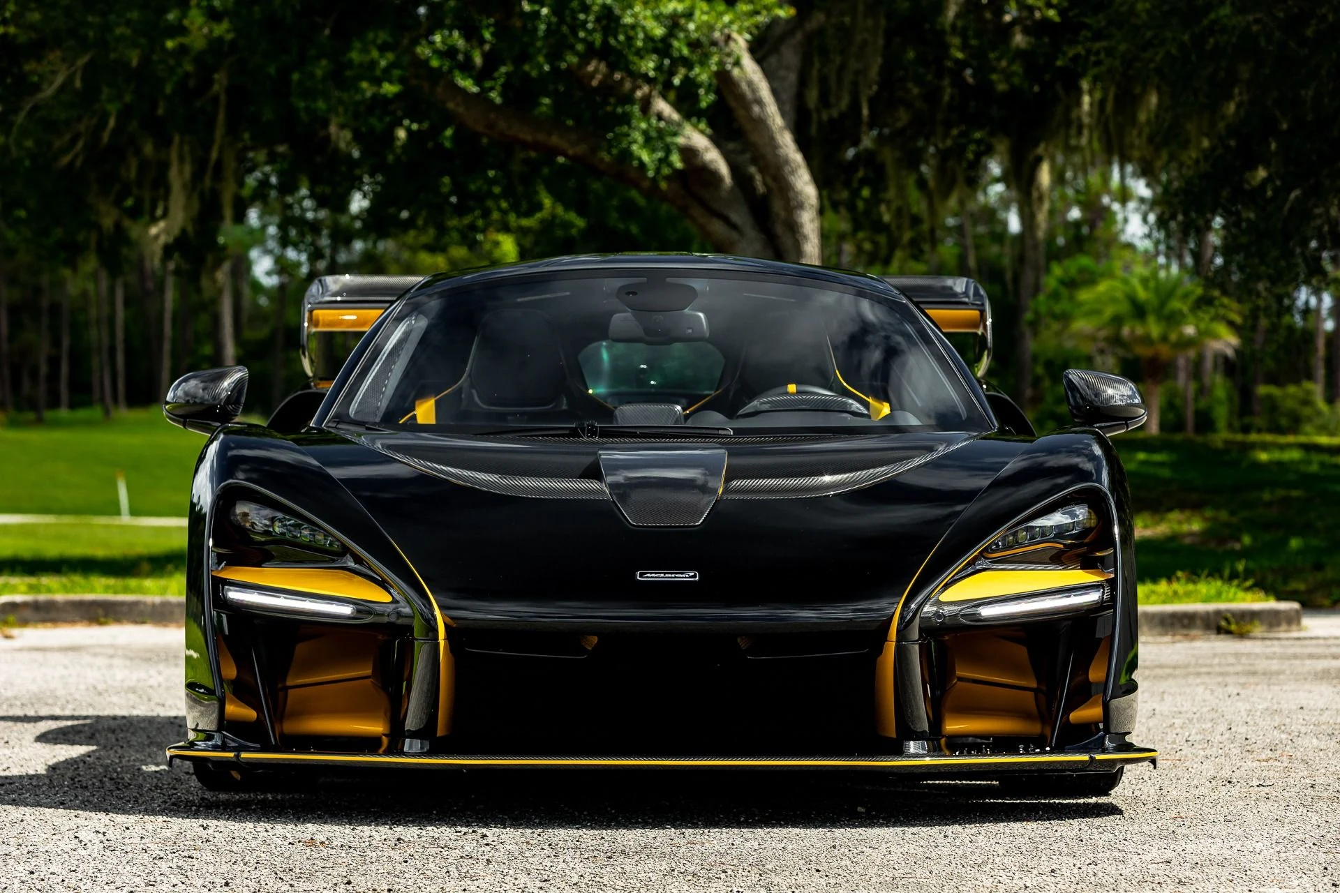 mph099_1340324994_131_p100_l_37ef8d6997