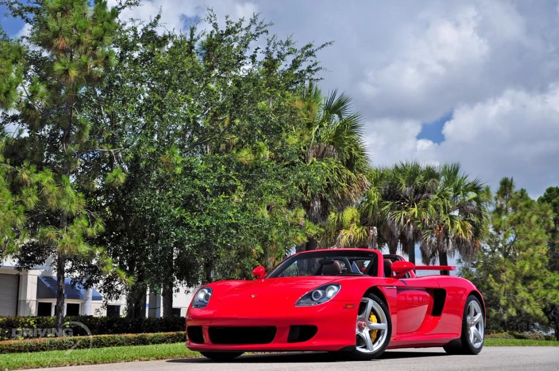 mph099_1883808901_186_p100_l_7c573e6f89