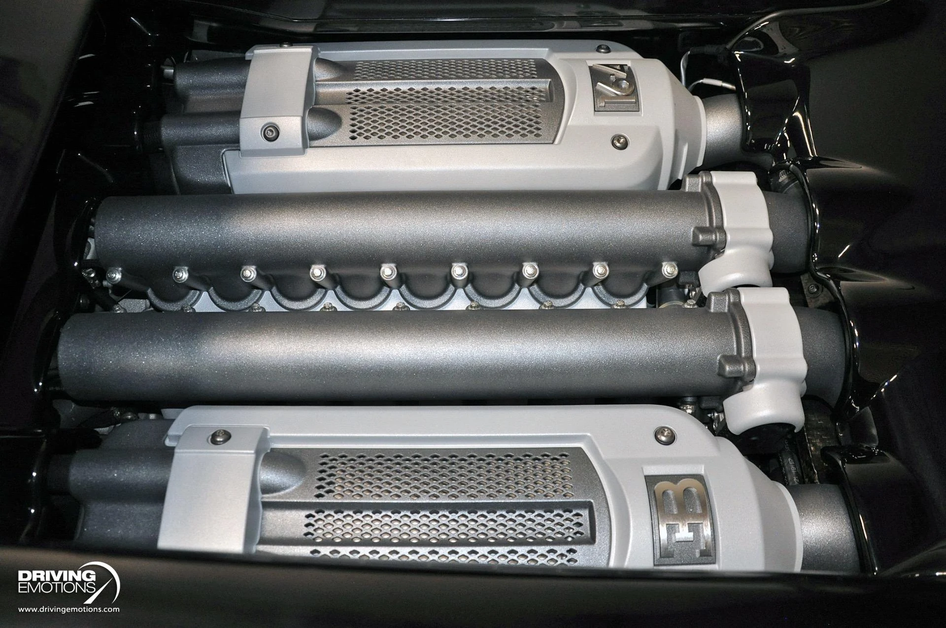 mph099_3444143954_479_p100_l_6398ba28a3