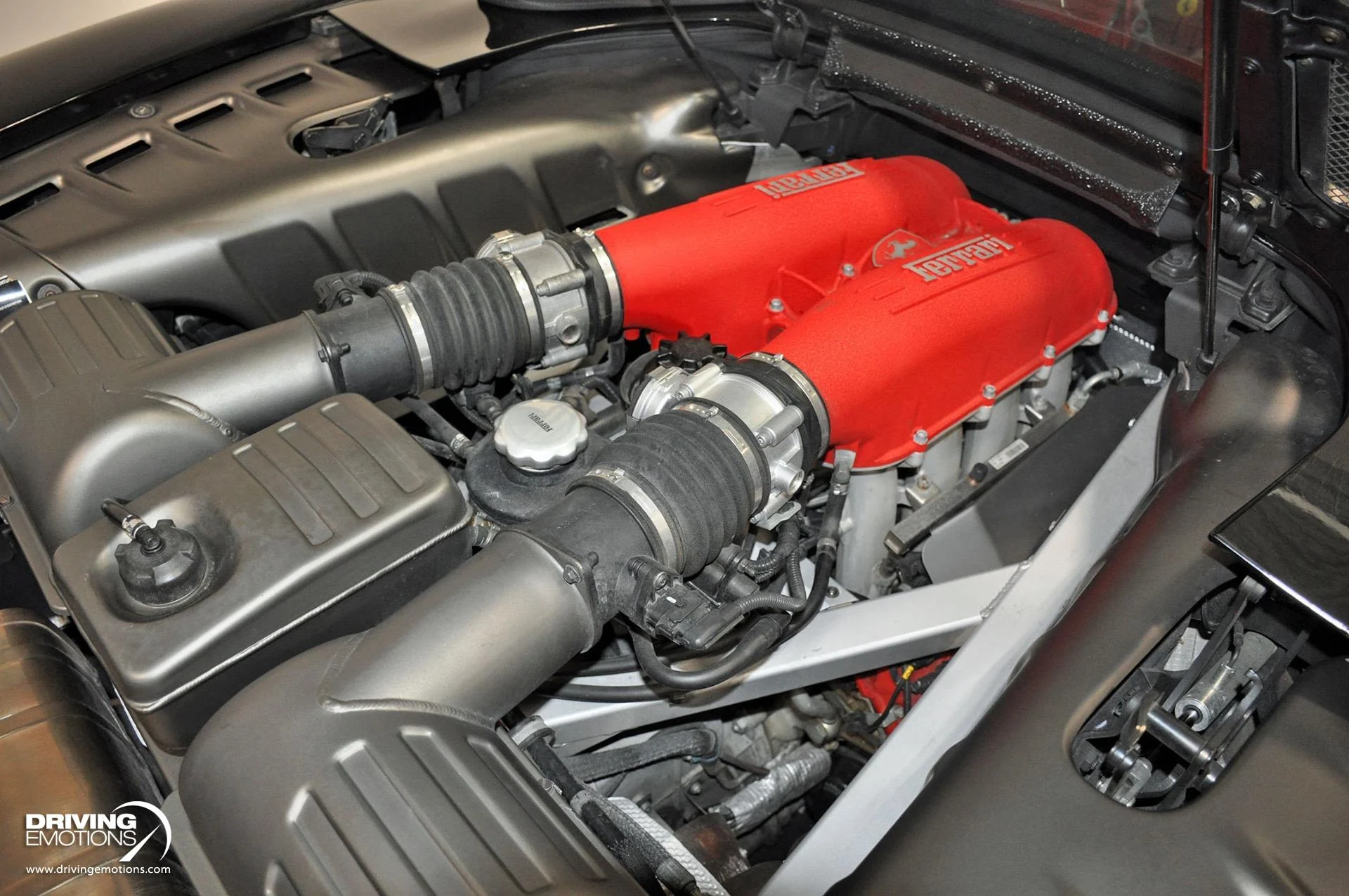 mph099_828478251_885_p100_l_2ea7cf287a