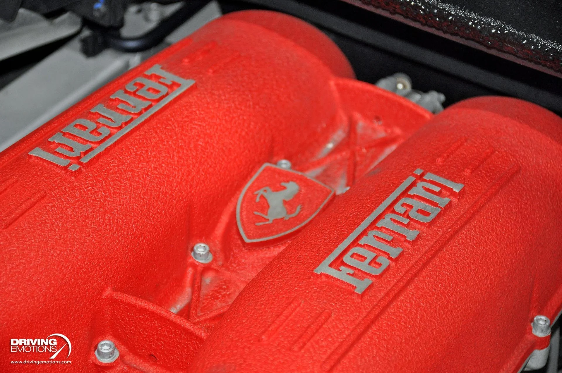 mph100_2769639723_885_p101_l_09a1ee2dbb