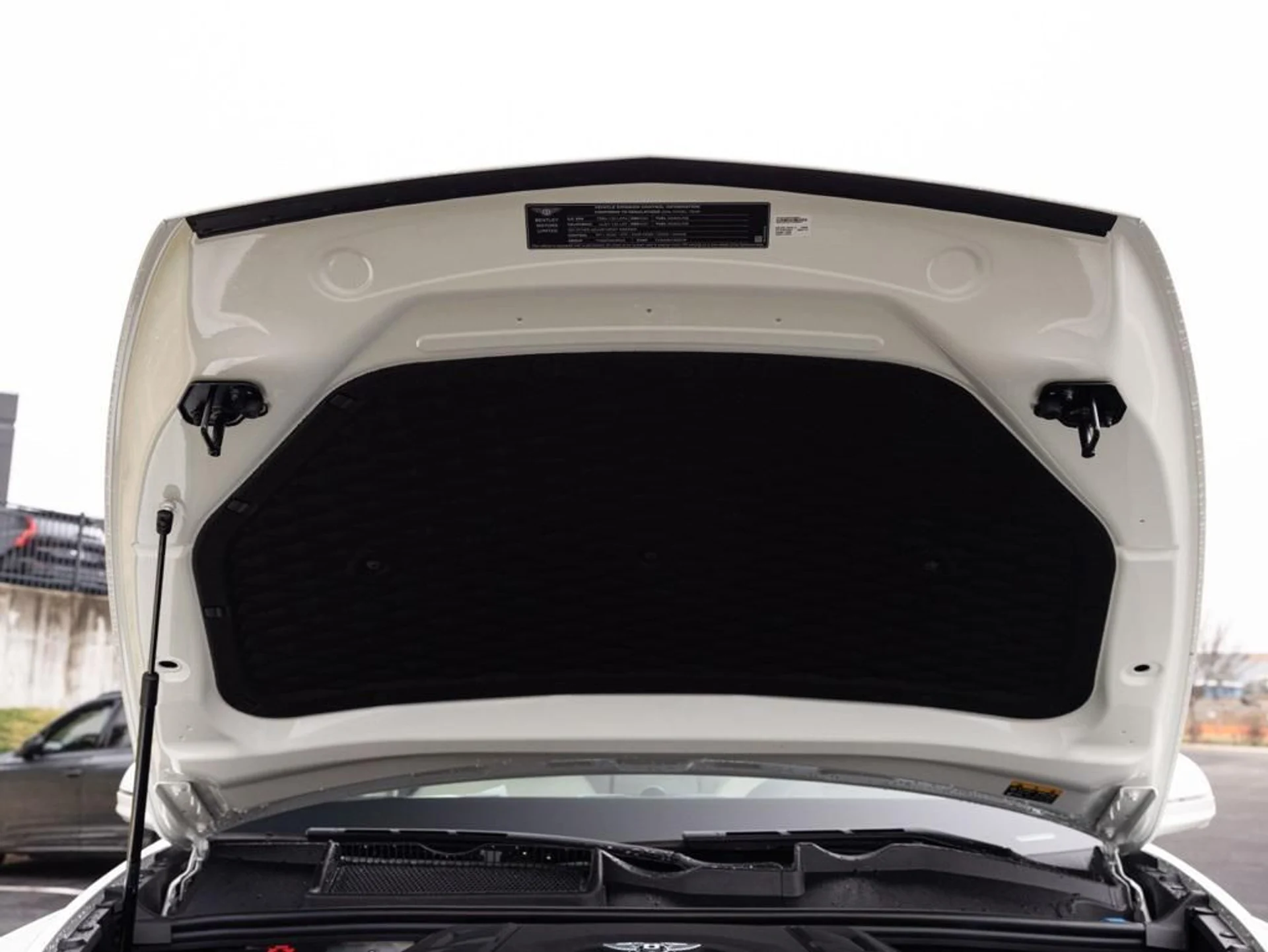 mph101_2727834638_480417656_693907dbbe3adbc4f79da69e_8c5c332efa