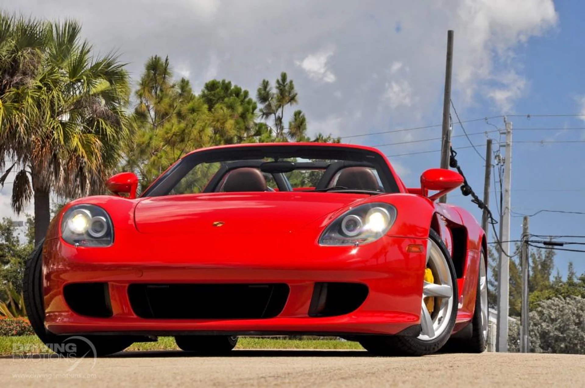 mph101_3367545980_186_p102_l_e2454e2abe