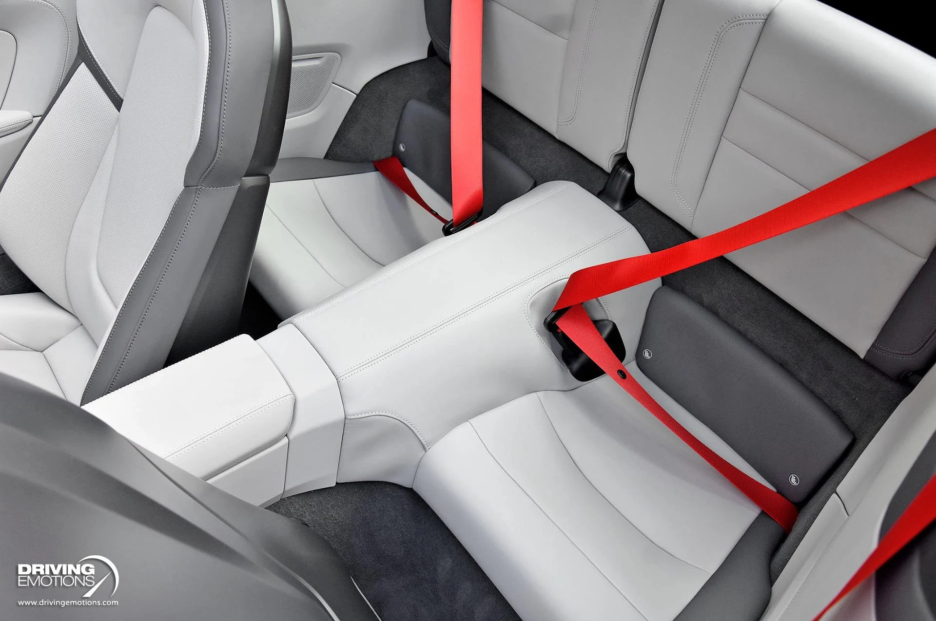 mph101_519576278_898_p102_l_00788084e5