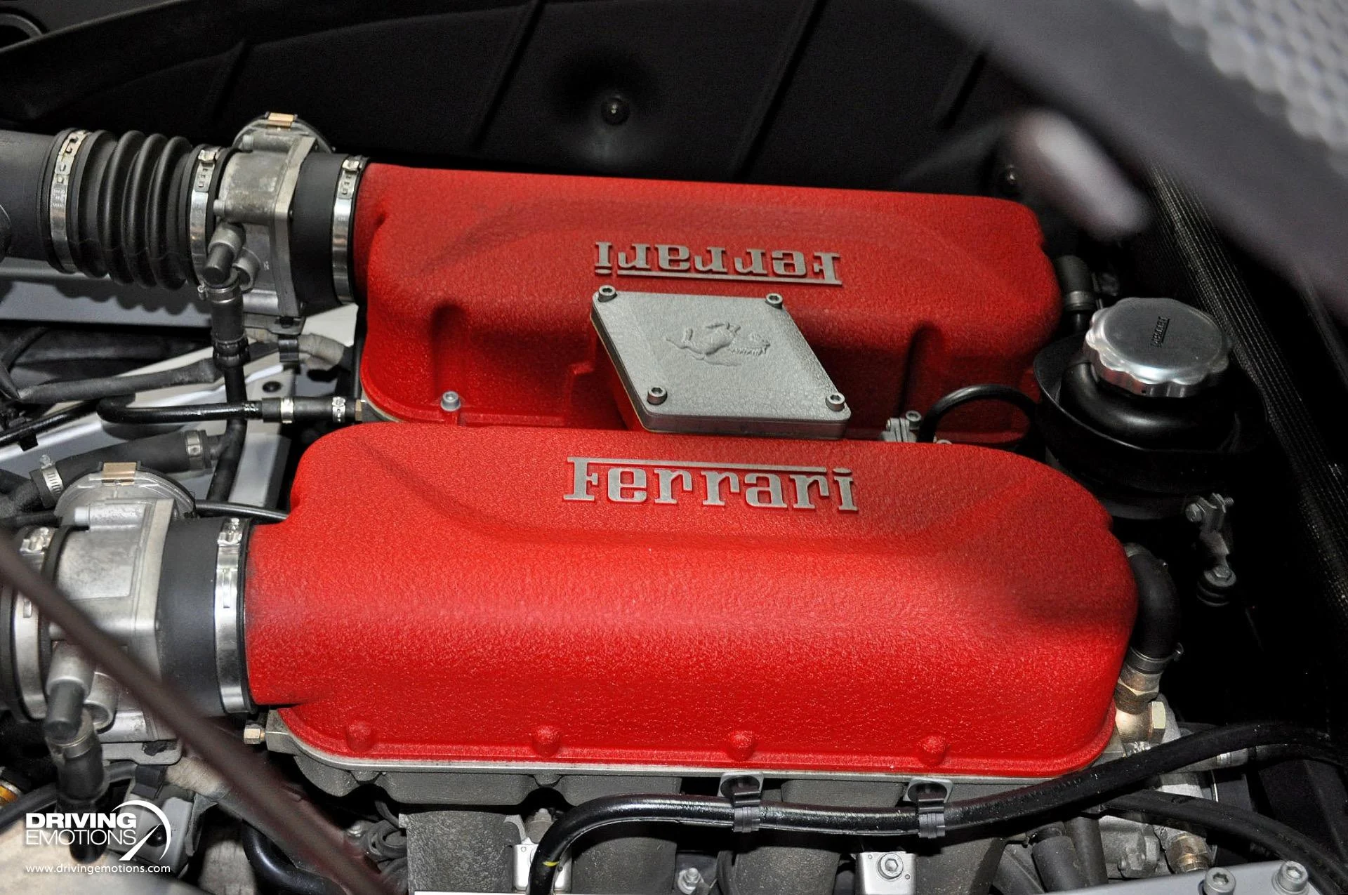 mph102_764420559_824_p103_l_076762a34a