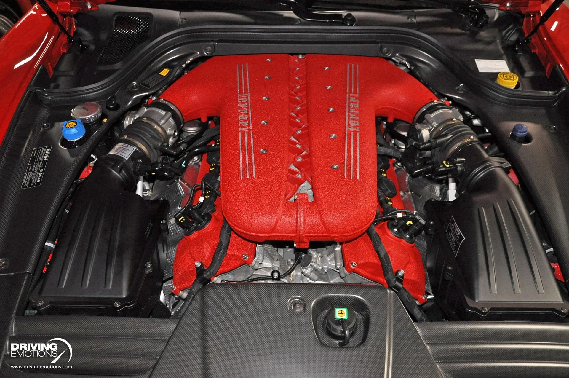 mph104_681705778_438_p105_l_3972f8f675