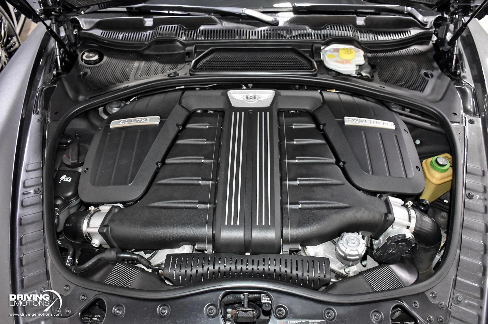 mph106_4251604267_871_p107_l_0c971d096d