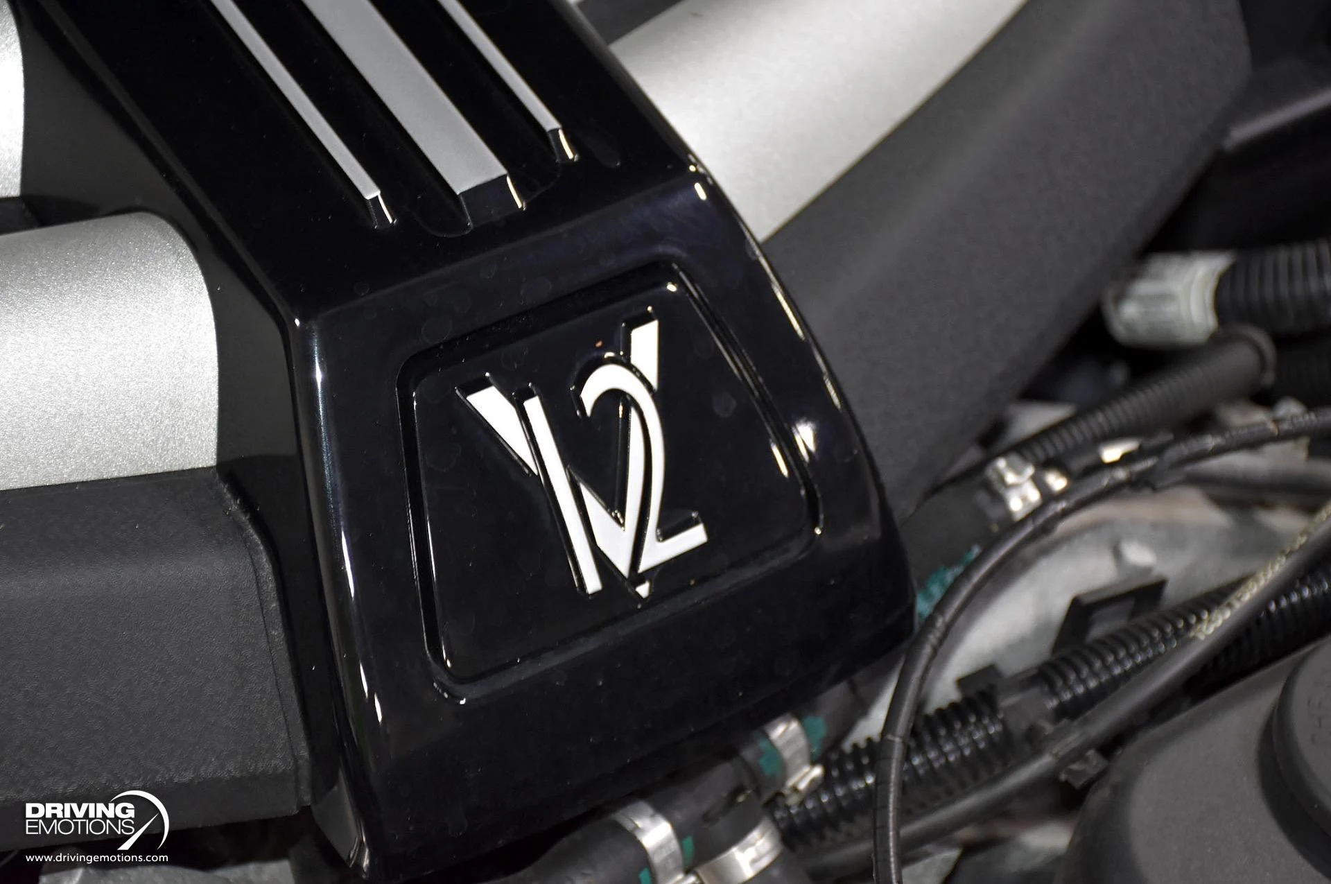 mph107_663303683_872_p108_l_977fcc5d23