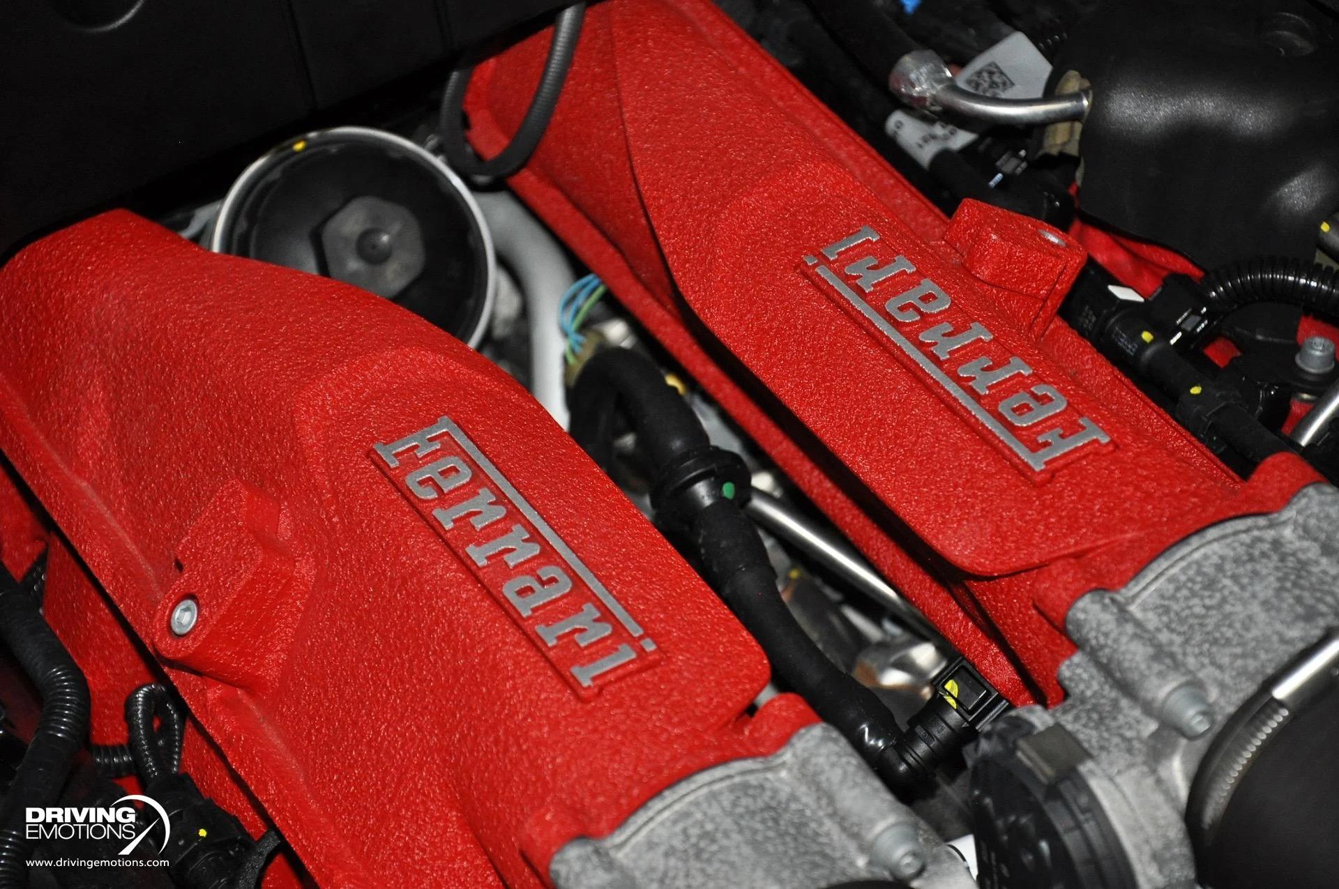 mph110_1004533643_882_p111_l_34283bb6d2