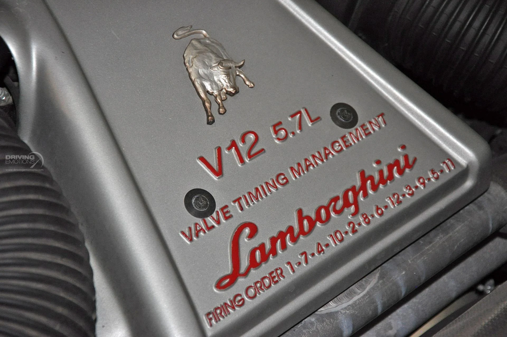 mph110_3360990897_192_p111_l_2f8093b090