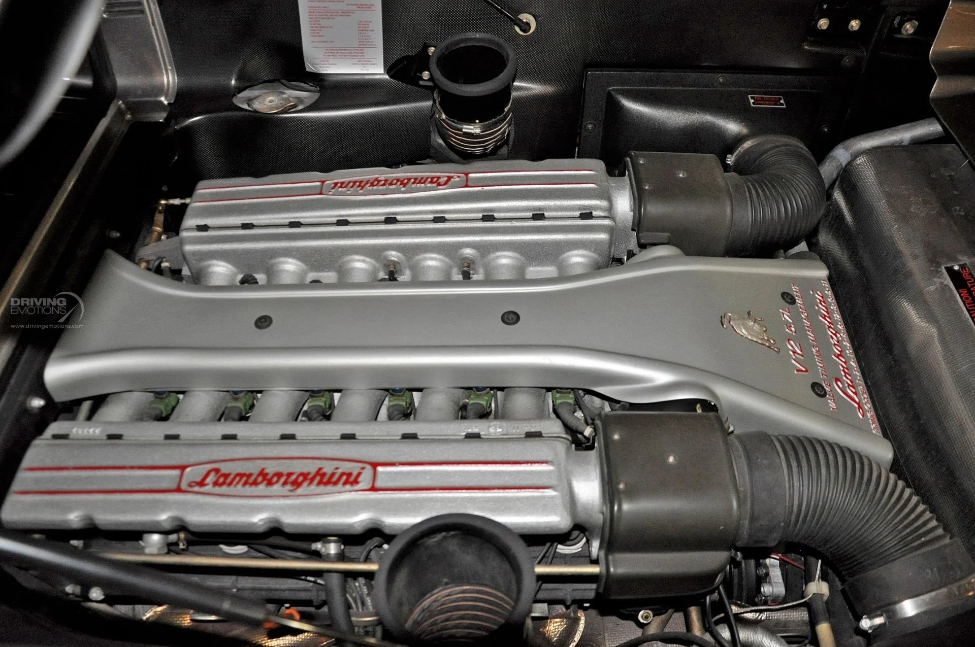 mph111_1227114393_192_p112_l_9e7d6a7357