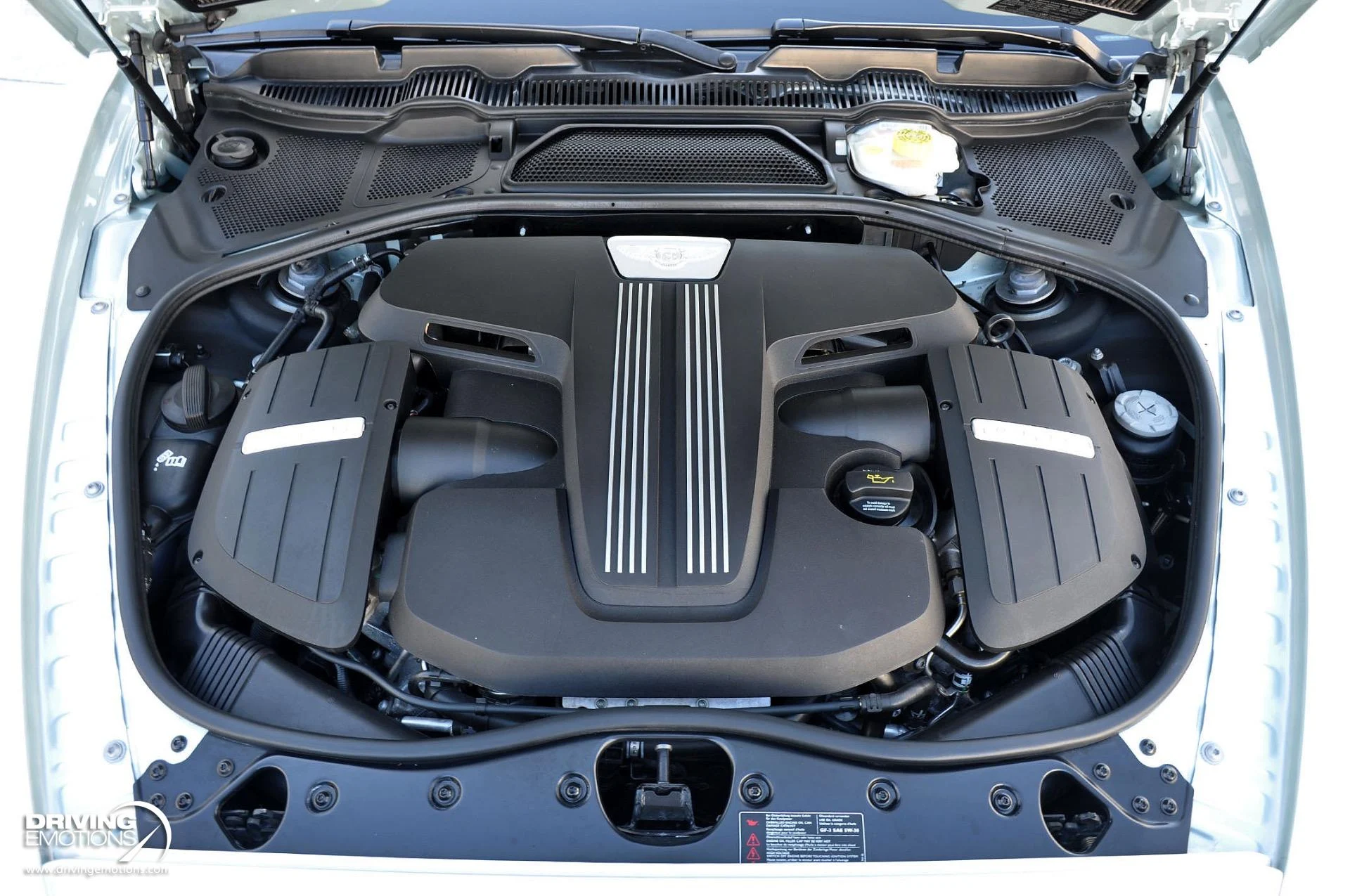 mph111_1878284179_886_p112_l_27a91646ce