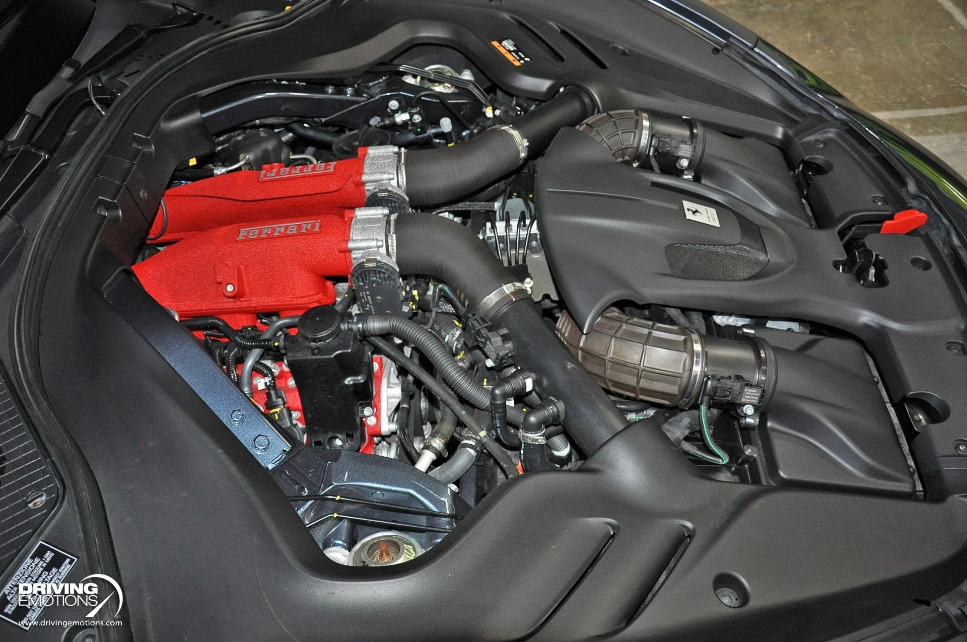 mph111_2073337338_882_p112_l_1e953f7174