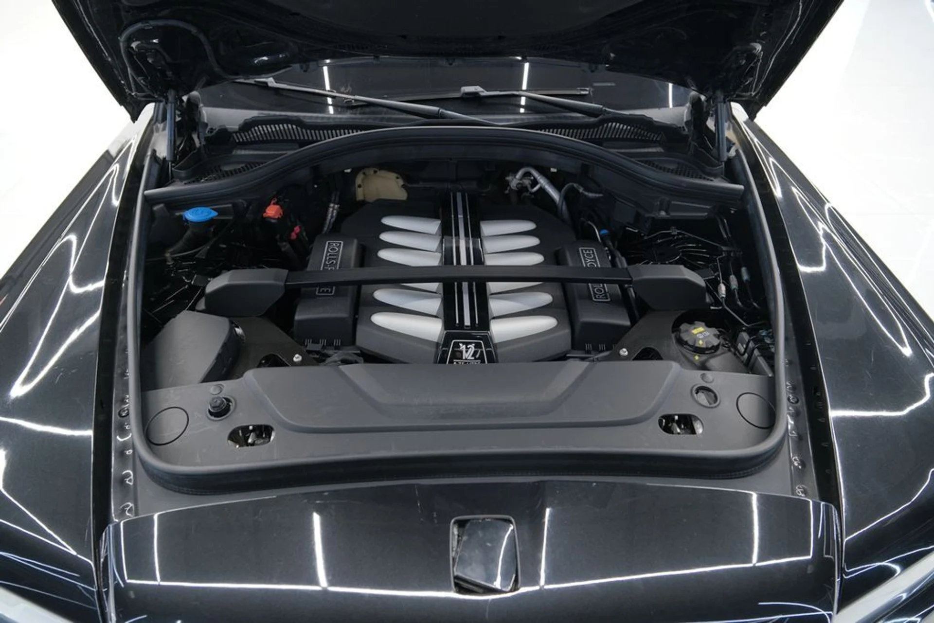 mph111_2414597143_e5906311d8780cb92a96831a654b822c_d4c966bff4