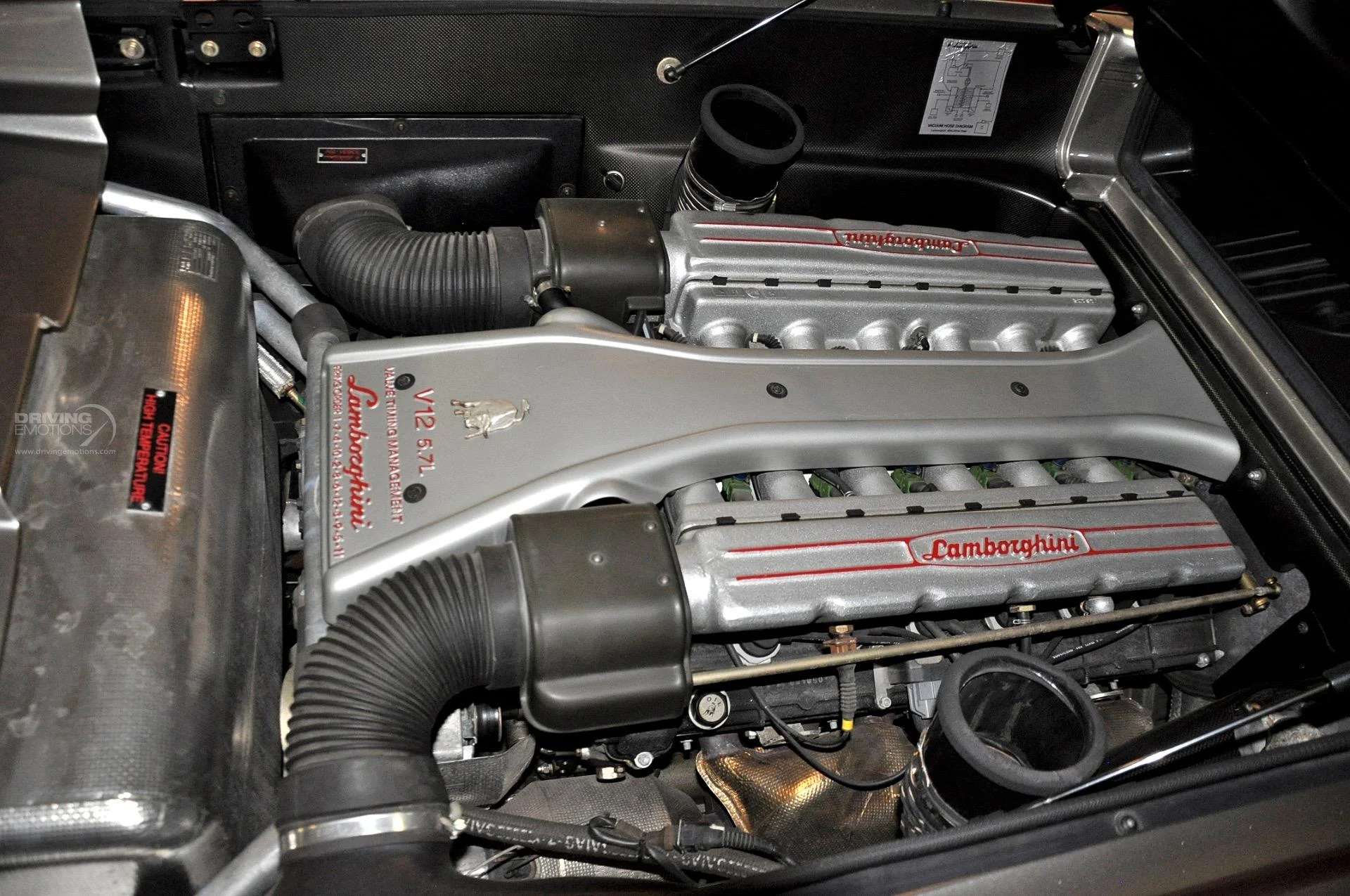mph112_2166080827_192_p113_l_4c95b5bfb1