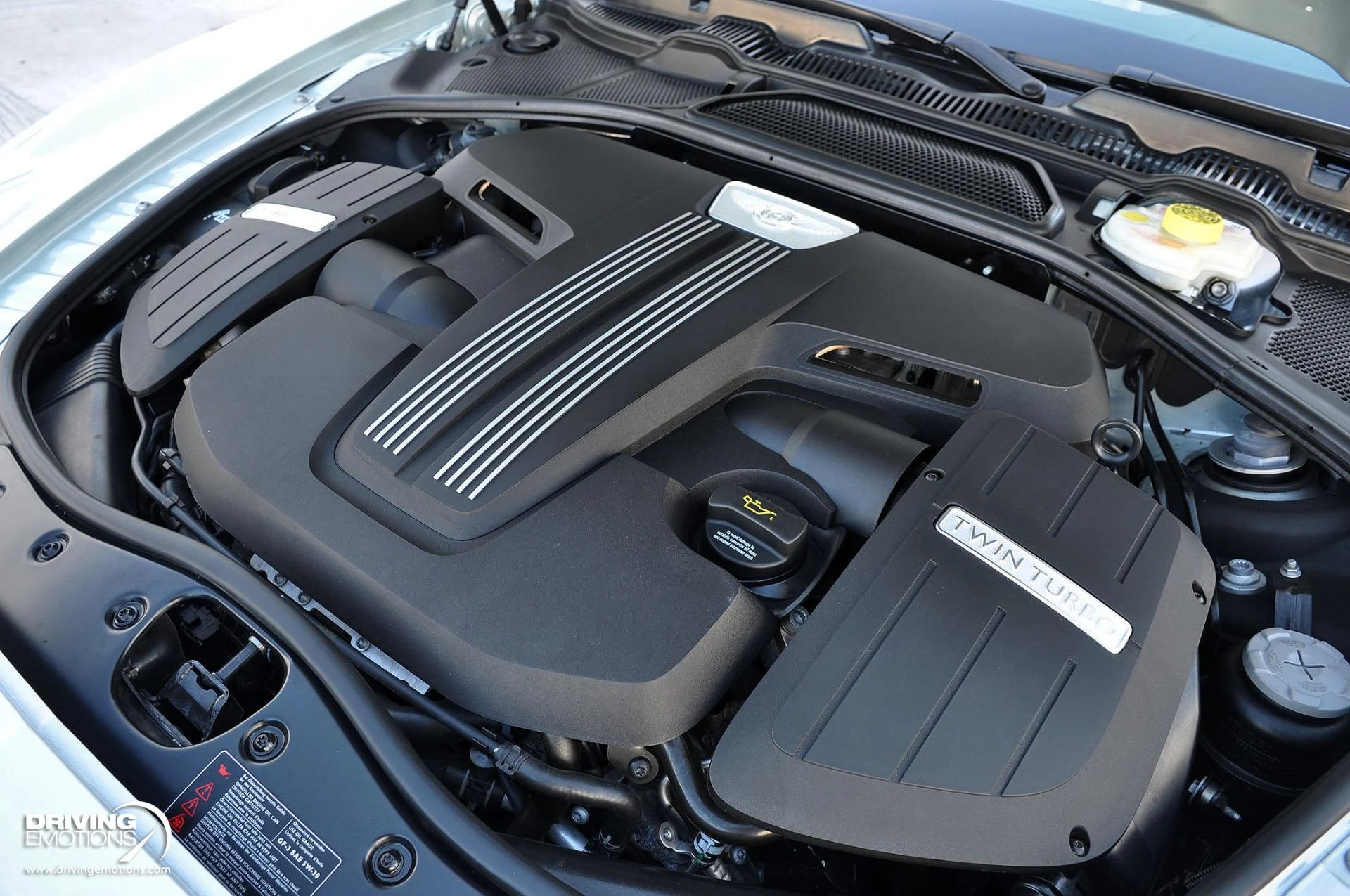 mph112_2325261966_886_p113_l_121035b3e7