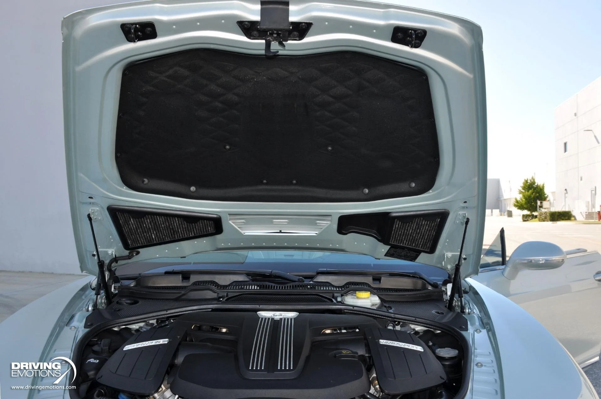 mph113_3148464213_886_p114_l_55985390c7