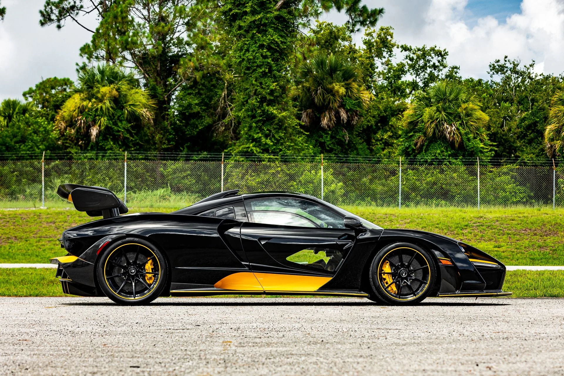 mph113_3516943383_131_p114_l_b79ff23aba