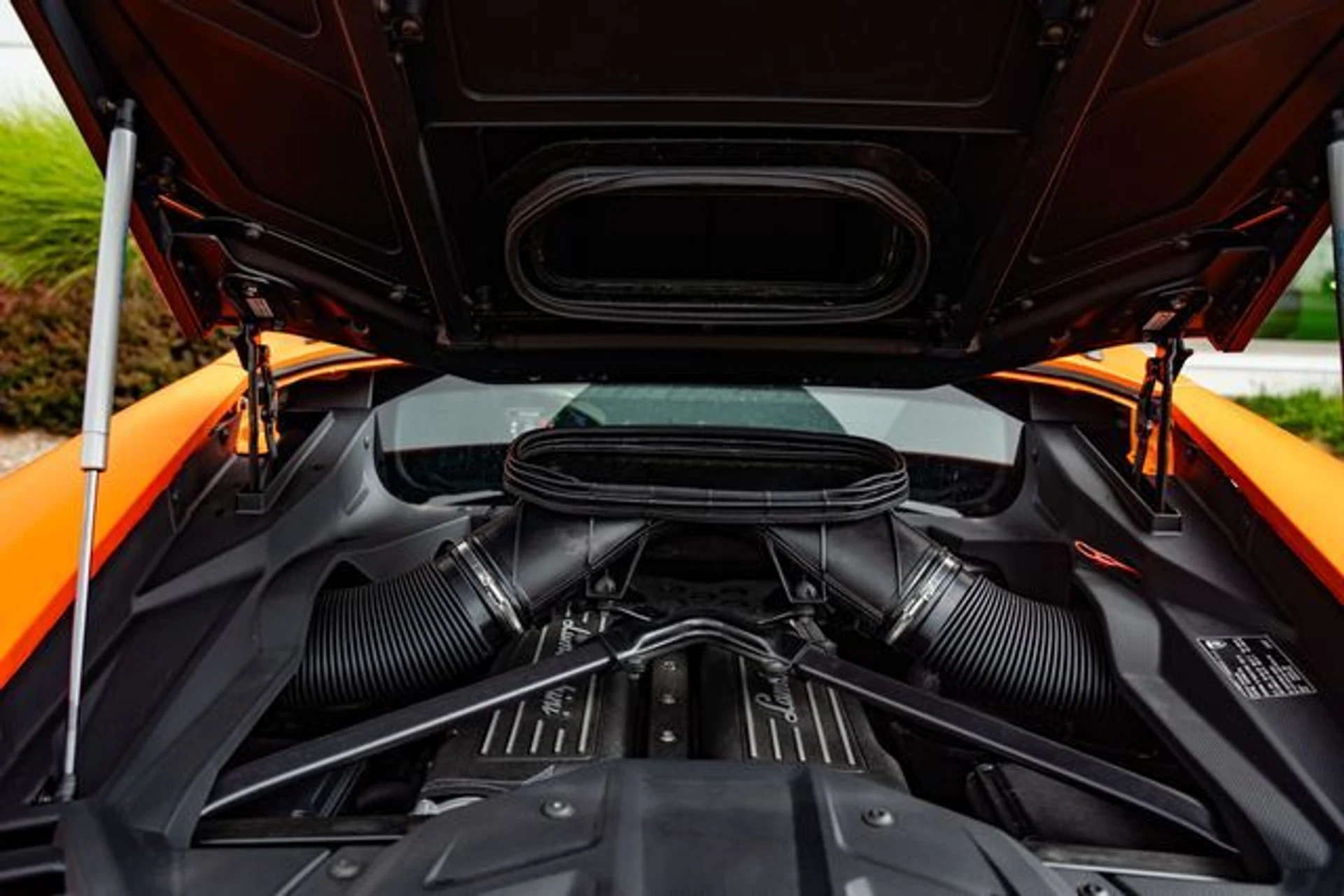 mph113_4172156585_5ee27657bd0aa3d629e7b17bd350628e_c816d3399c