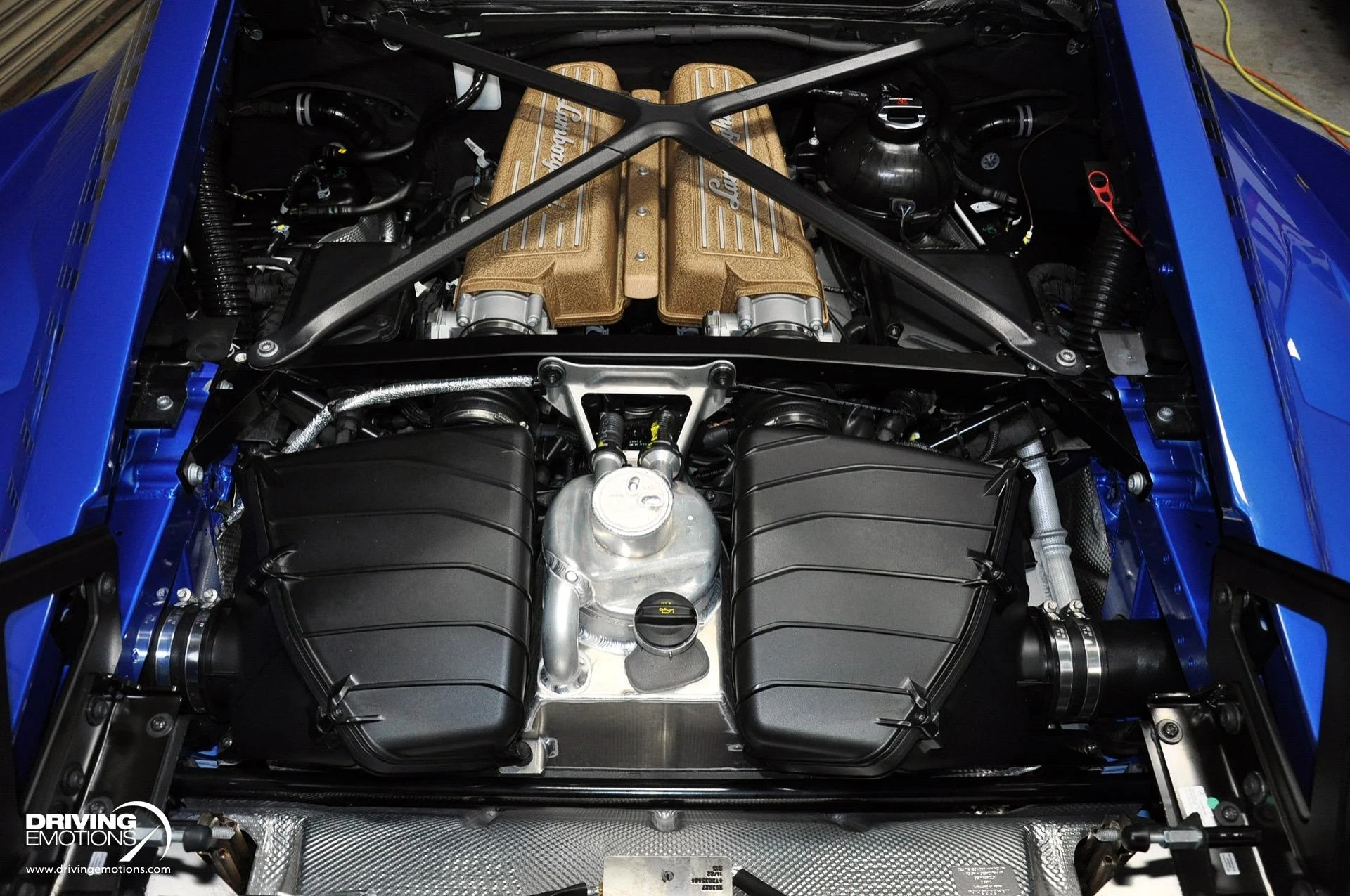 mph113_724108548_743_p114_l_1cfbeb9a8f