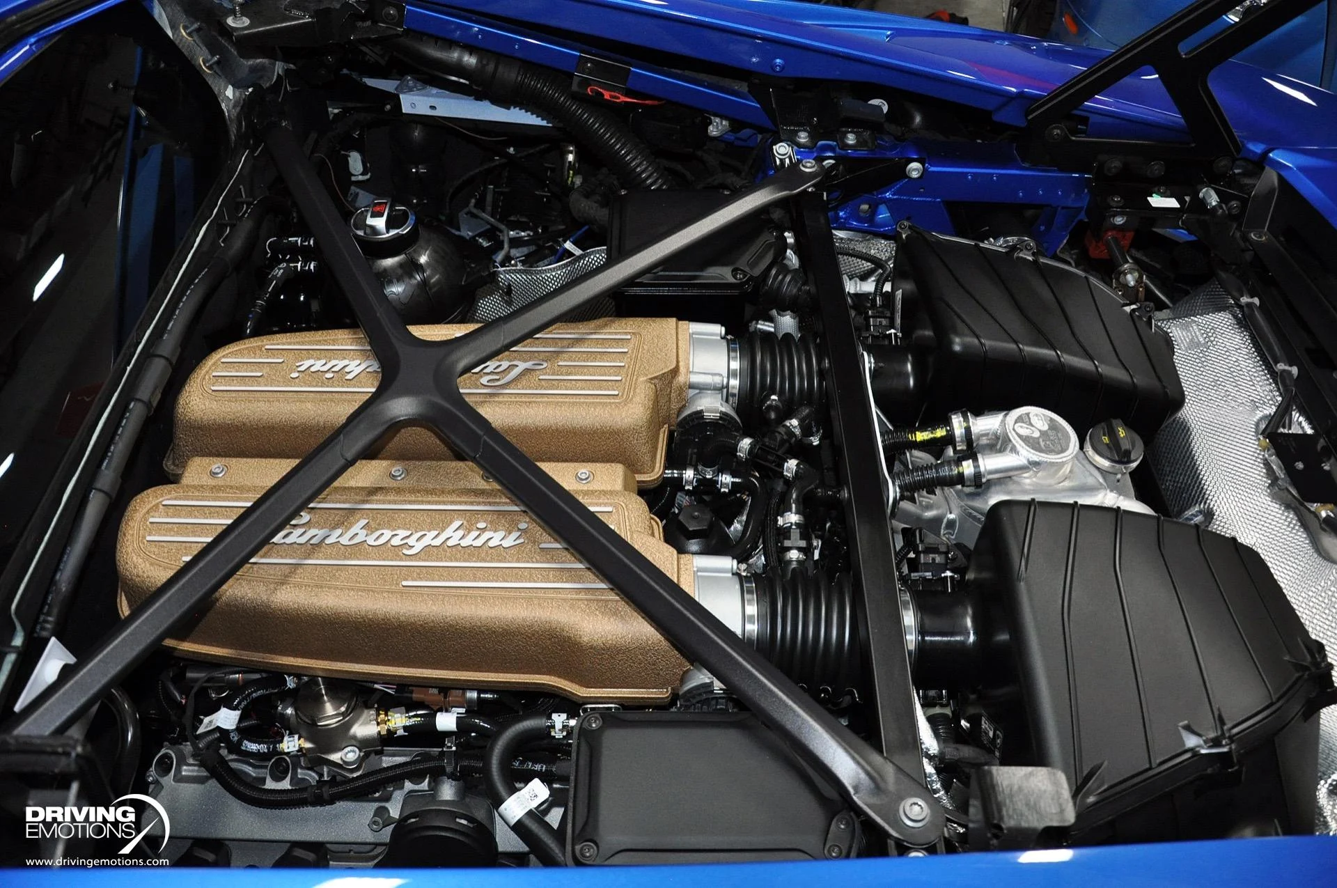 mph114_1556207660_743_p115_l_e6b141fca0